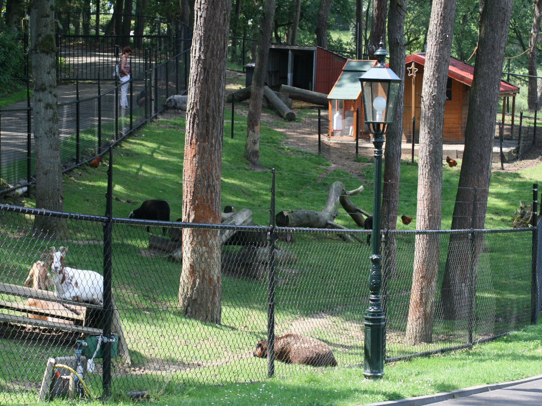   Resort Brunssummerheide 26