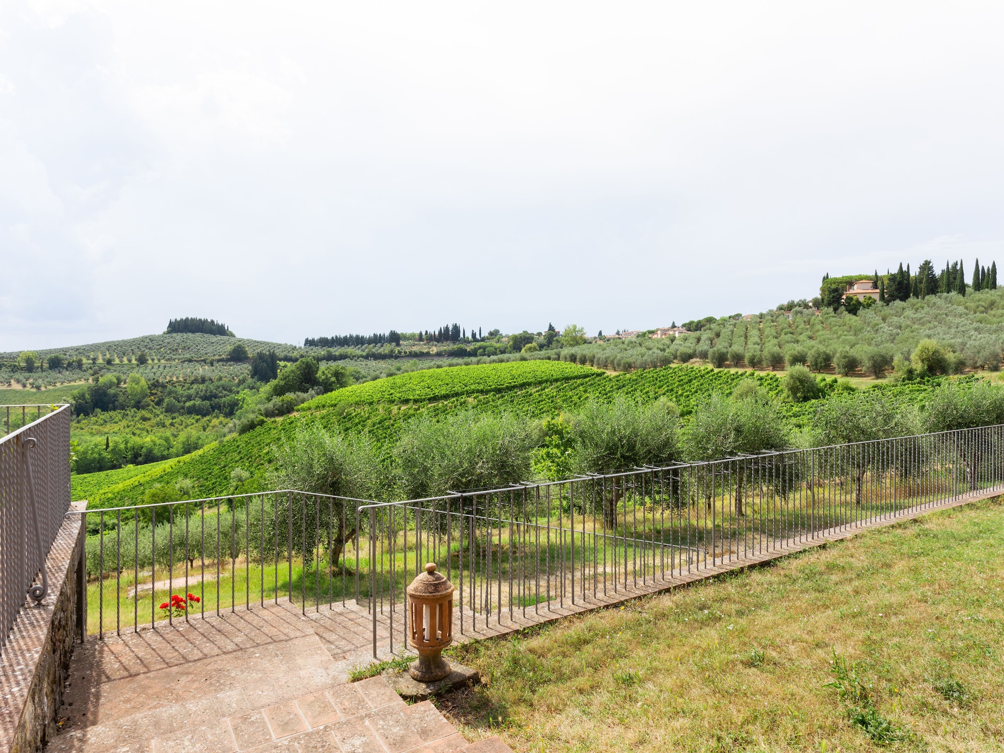   Toraio