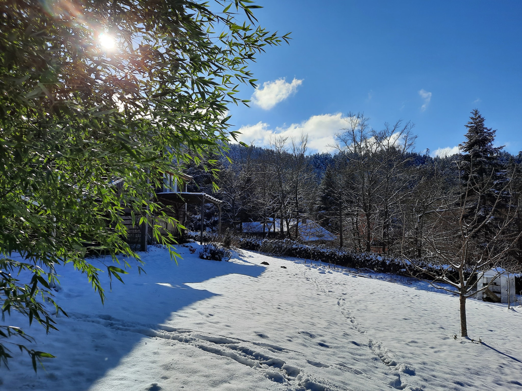 Maison Chalet Saint Bernard - Raon l'Étape