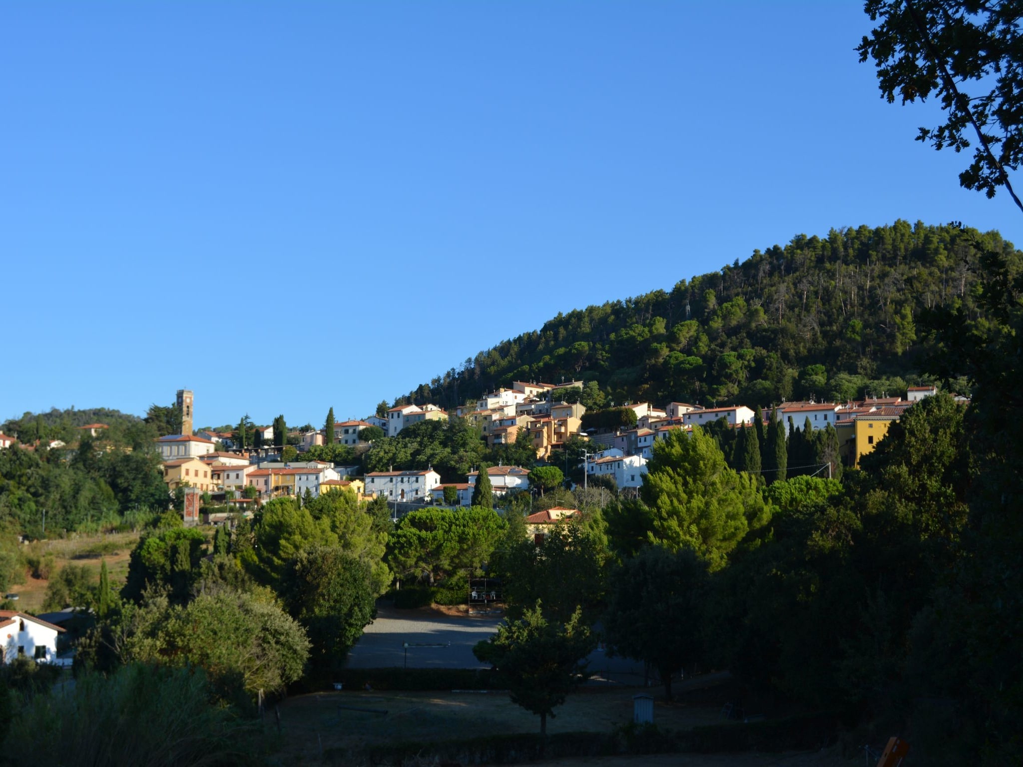   Mulinomanzi