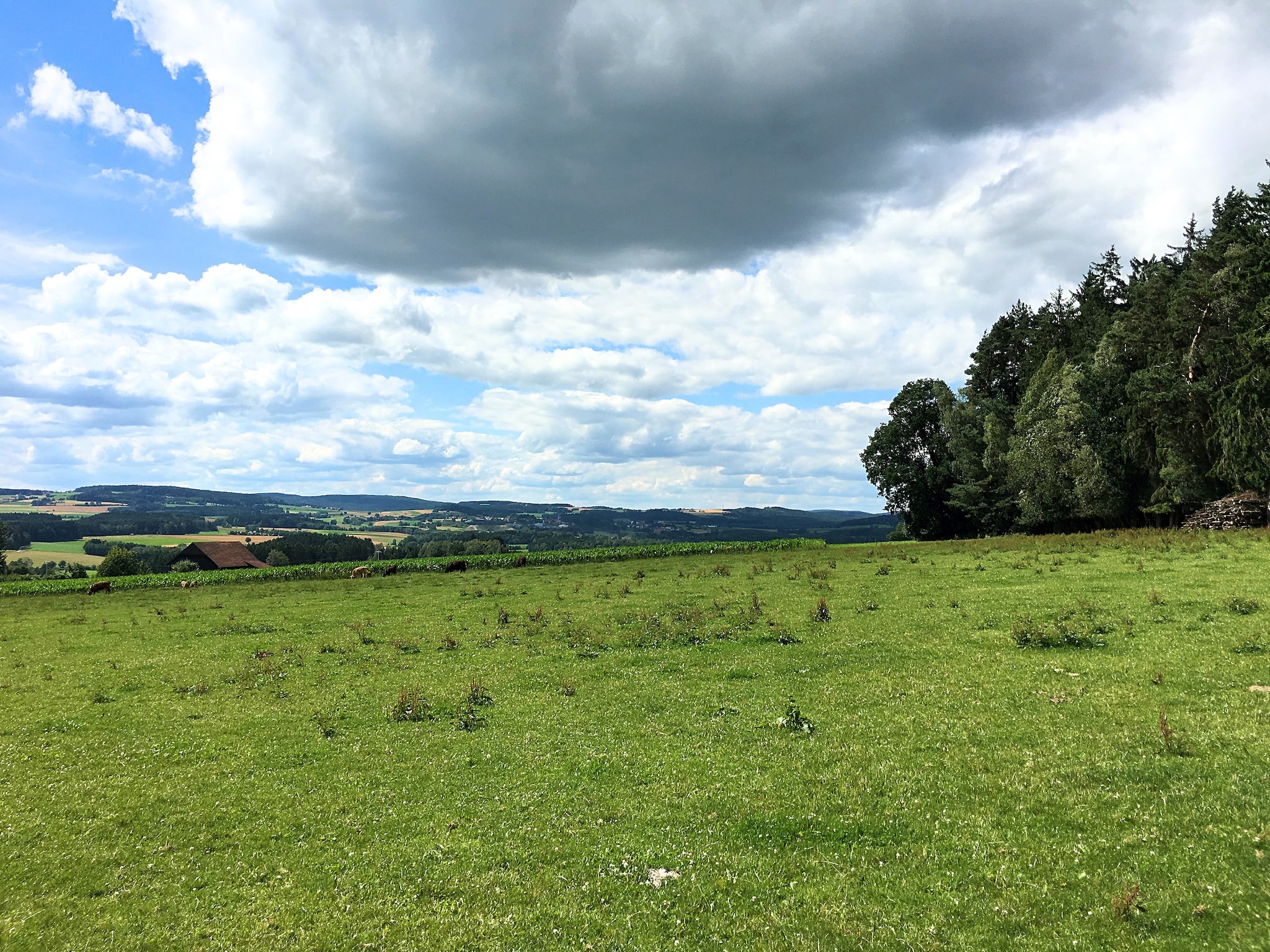 Ferienwohnung Oberer Bayerischer Wald