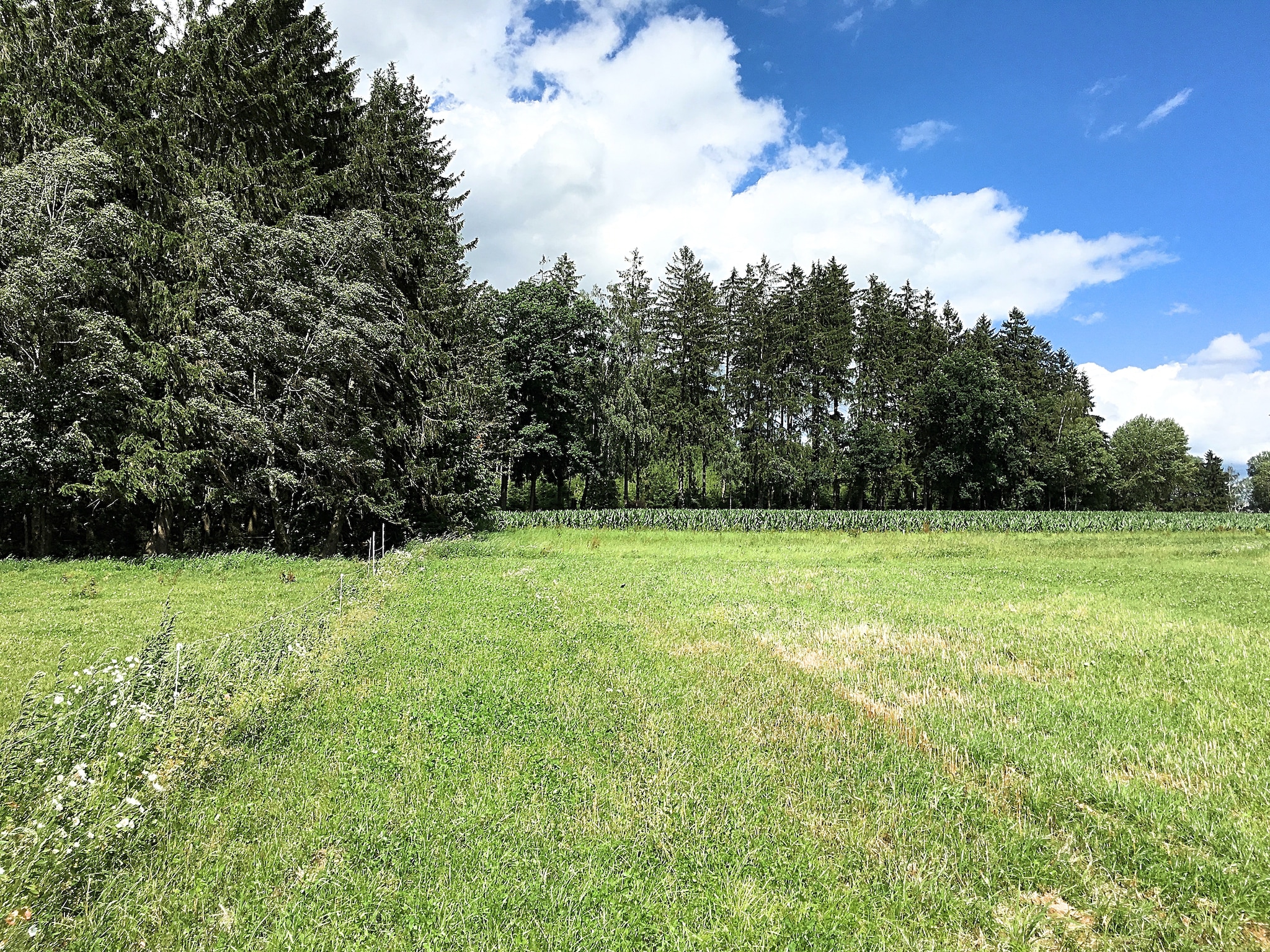 Ferienwohnung Oberer Bayerischer Wald