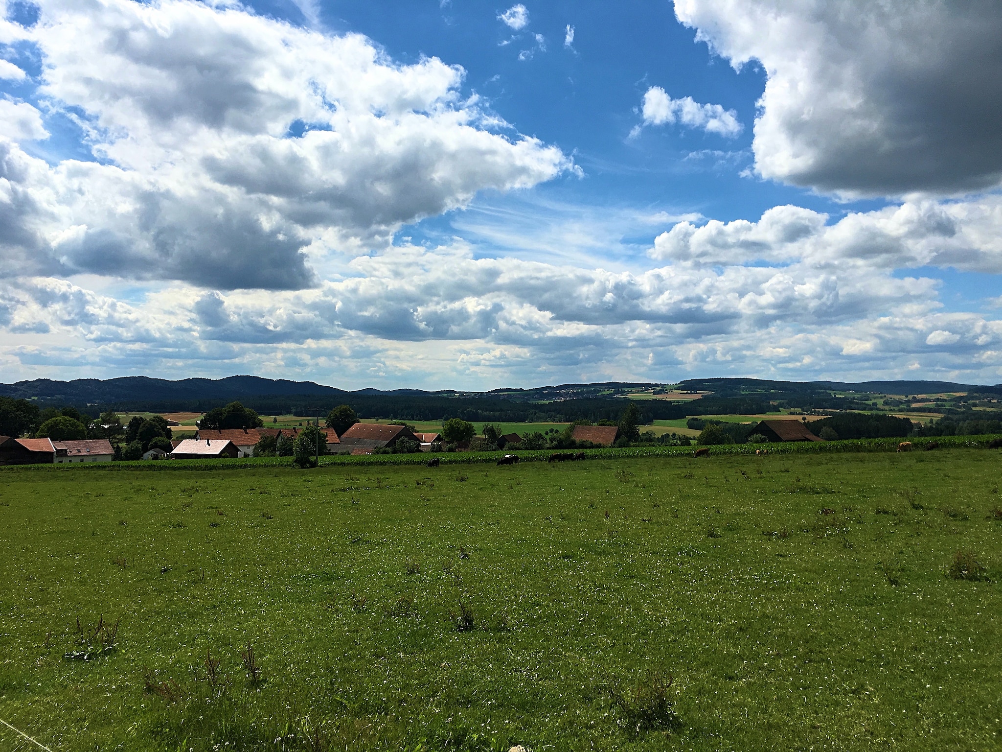 Ferienwohnung Oberer Bayerischer Wald