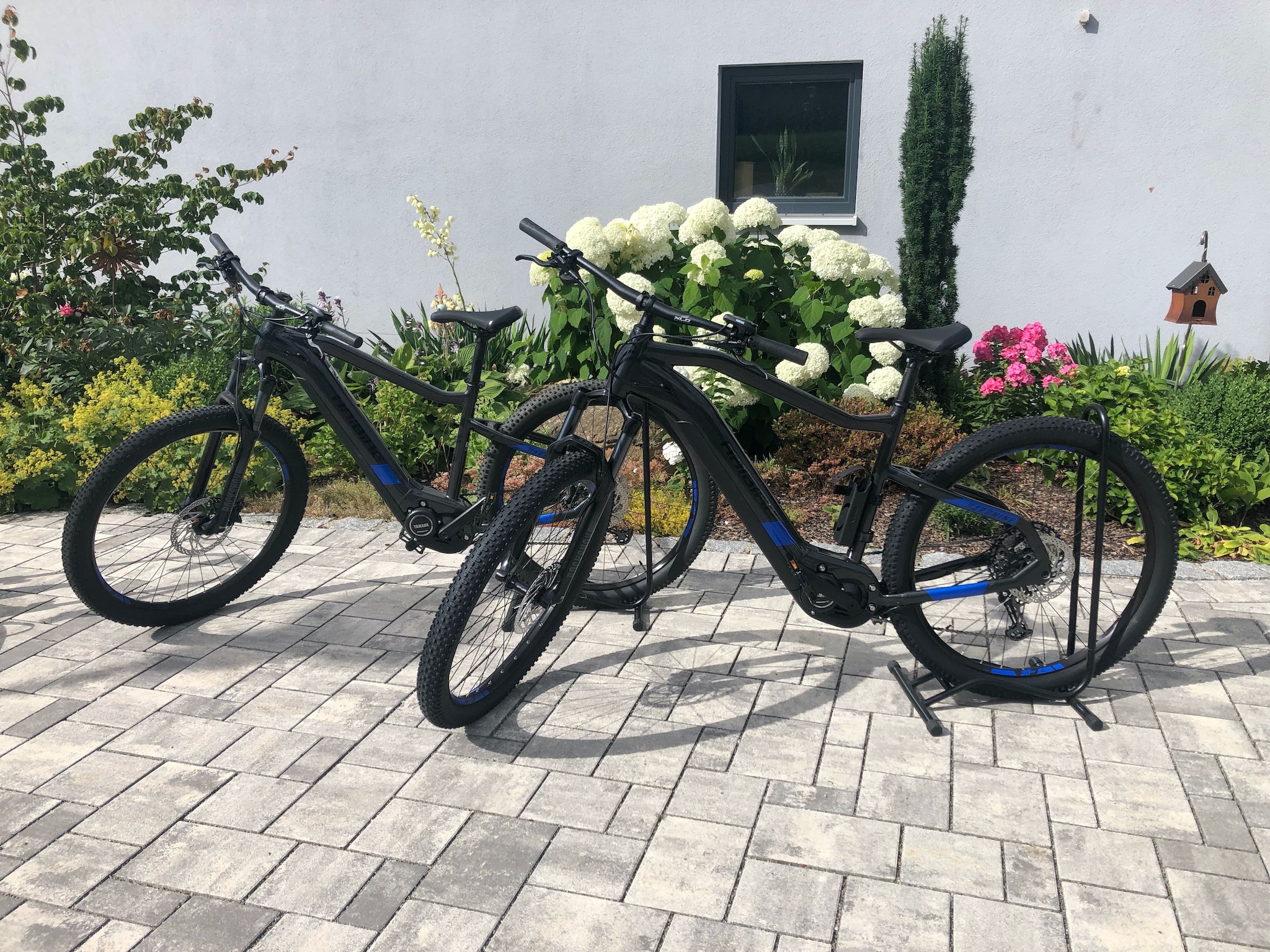 Ferienwohnung Oberer Bayerischer Wald