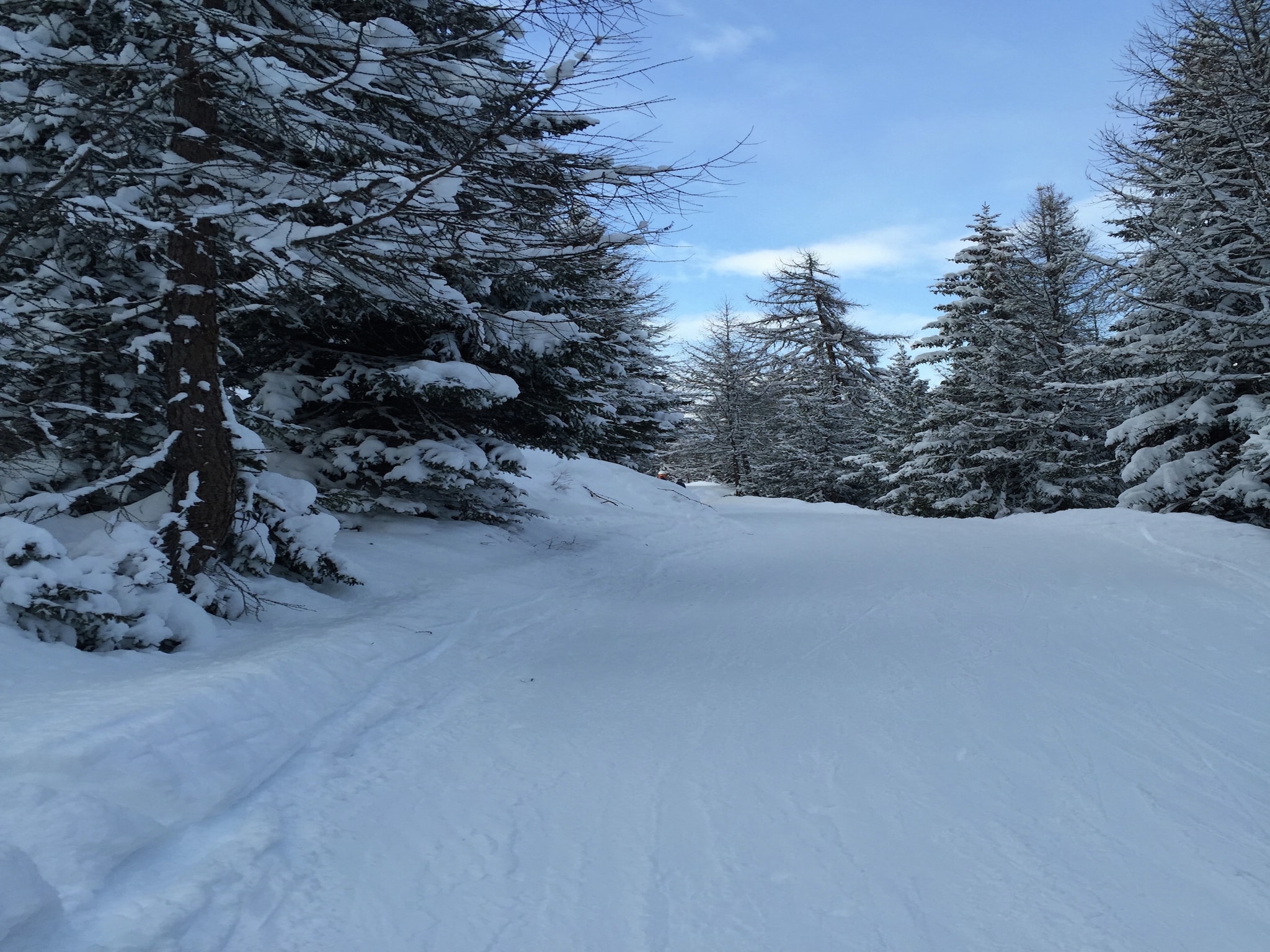   Chalet Panaga