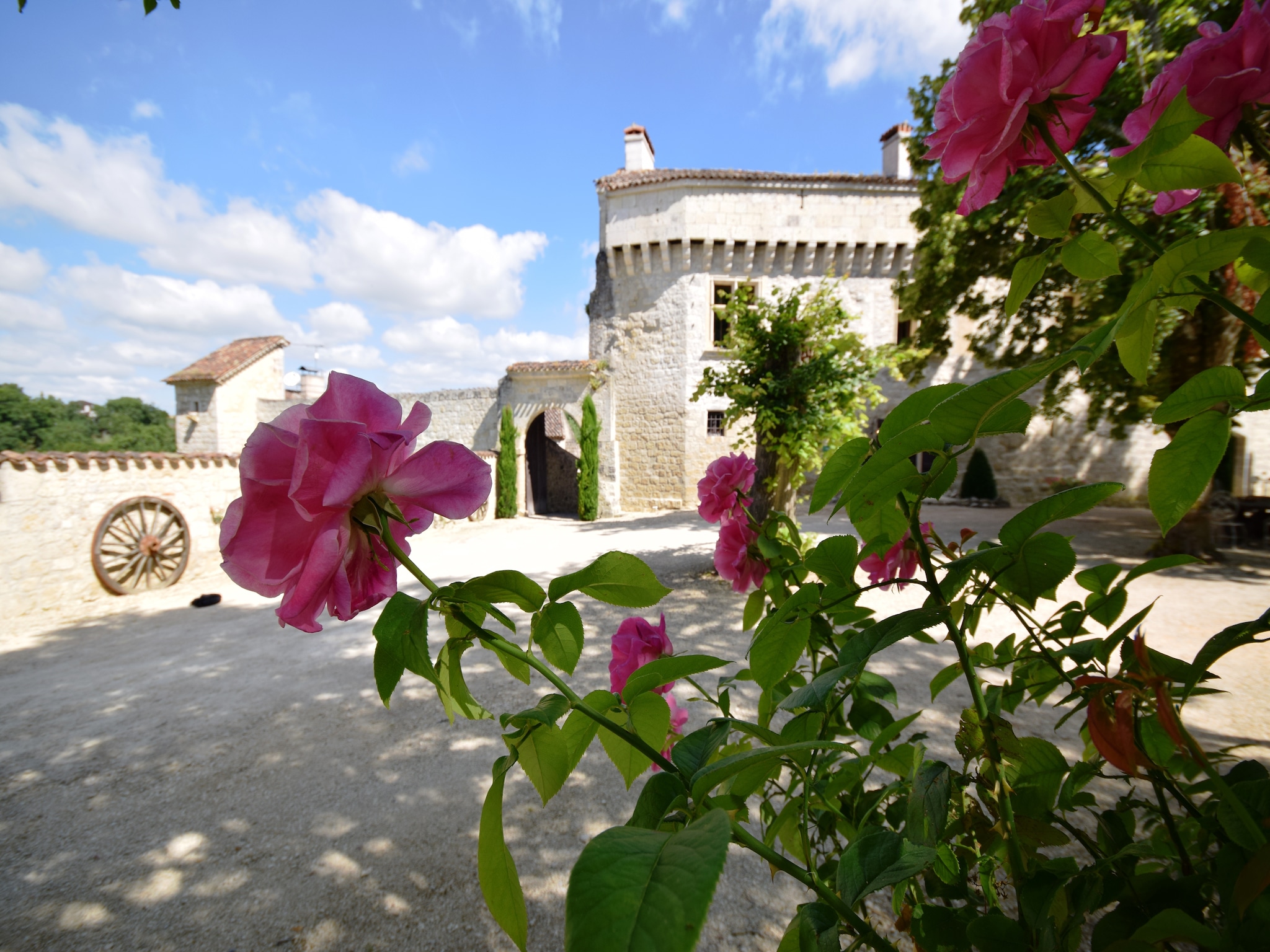 Feriebolig Chateau de plèneselve 12P