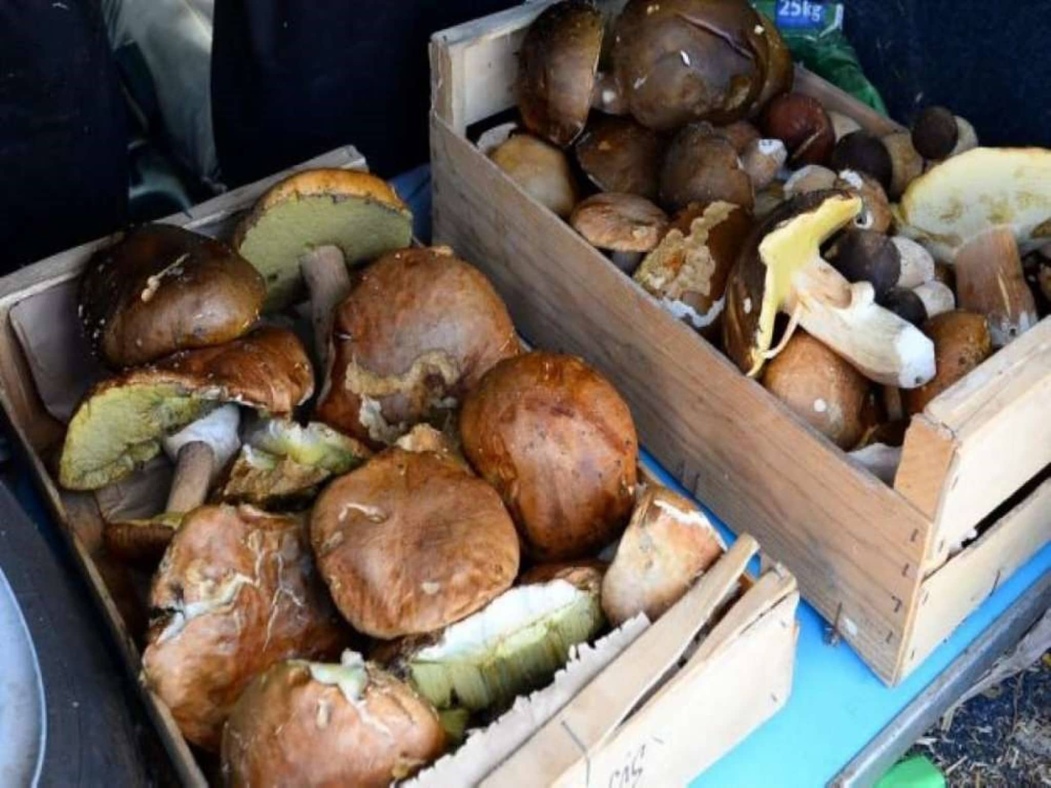Feriebolig Four à pain