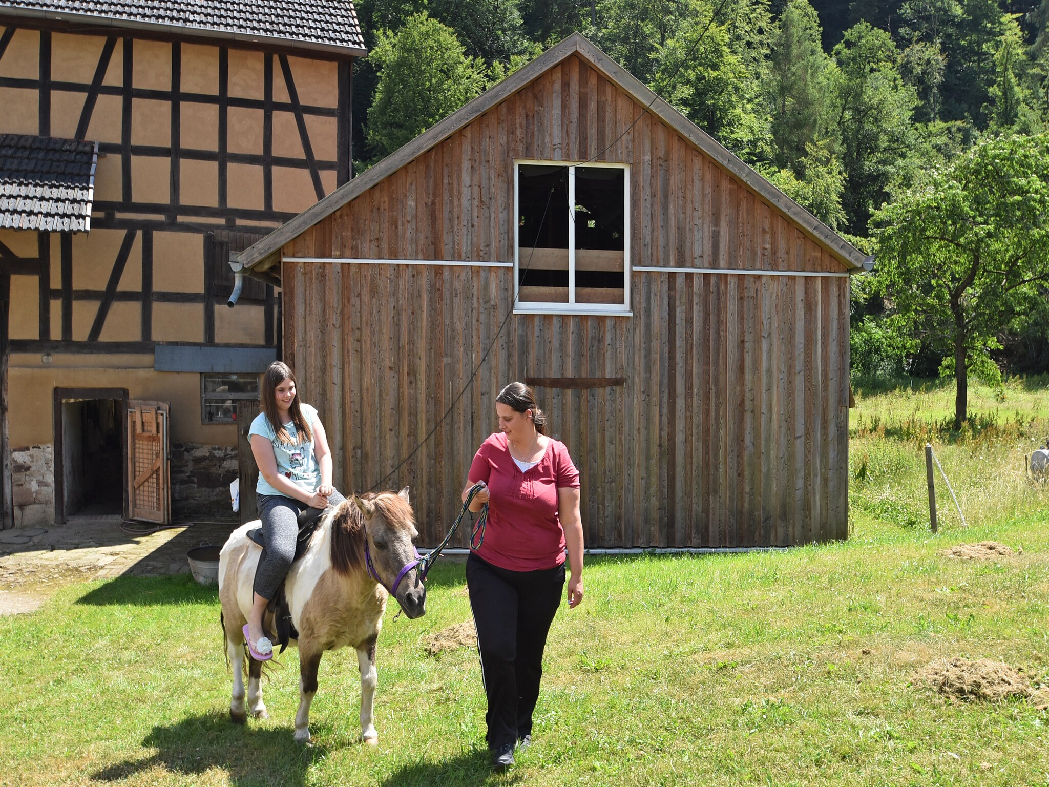 Leilighet Am Ferienbauernhof - FW 3