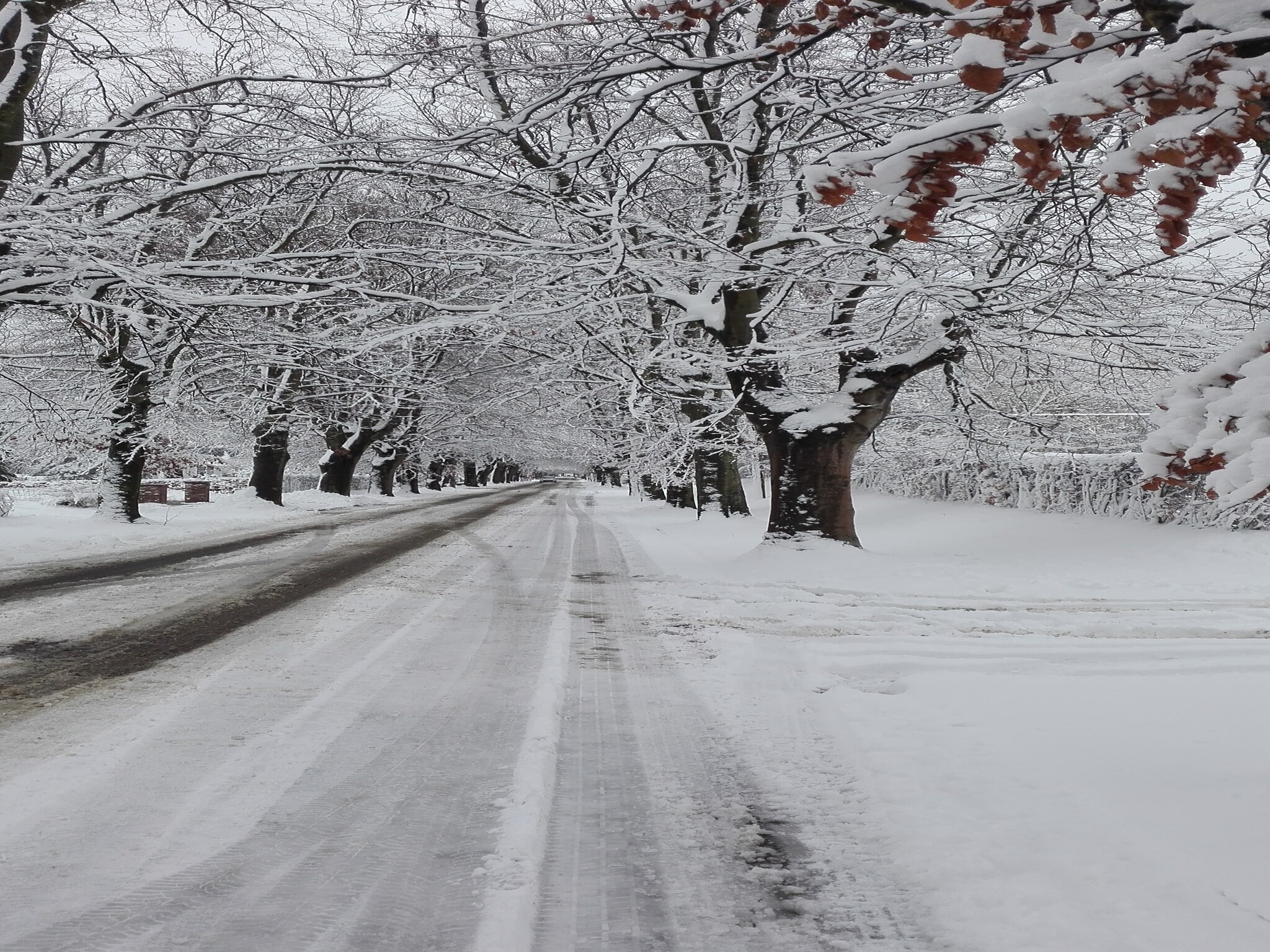 Ferienhaus Le Baroudeur