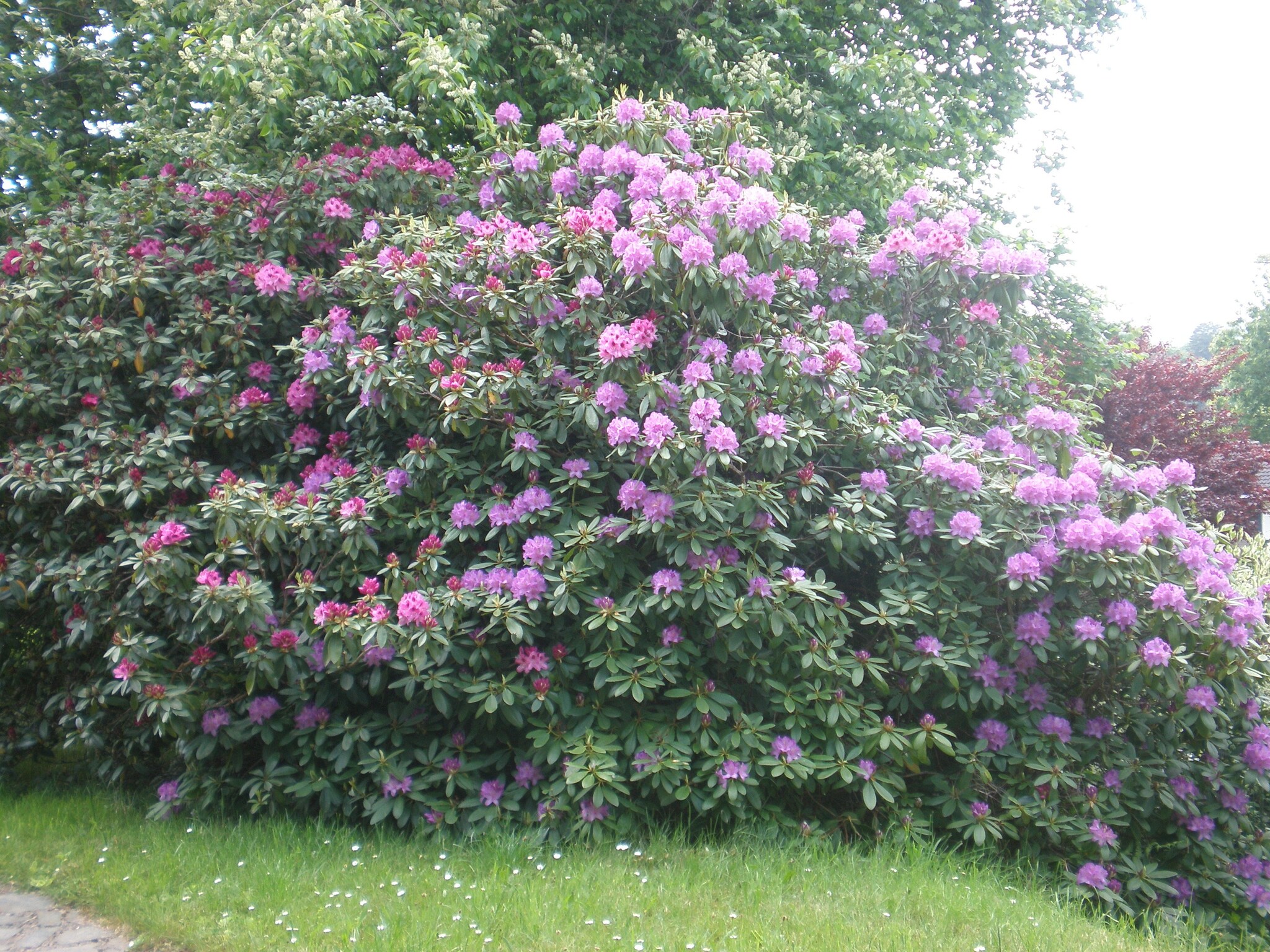 Ferienhaus Le Baroudeur