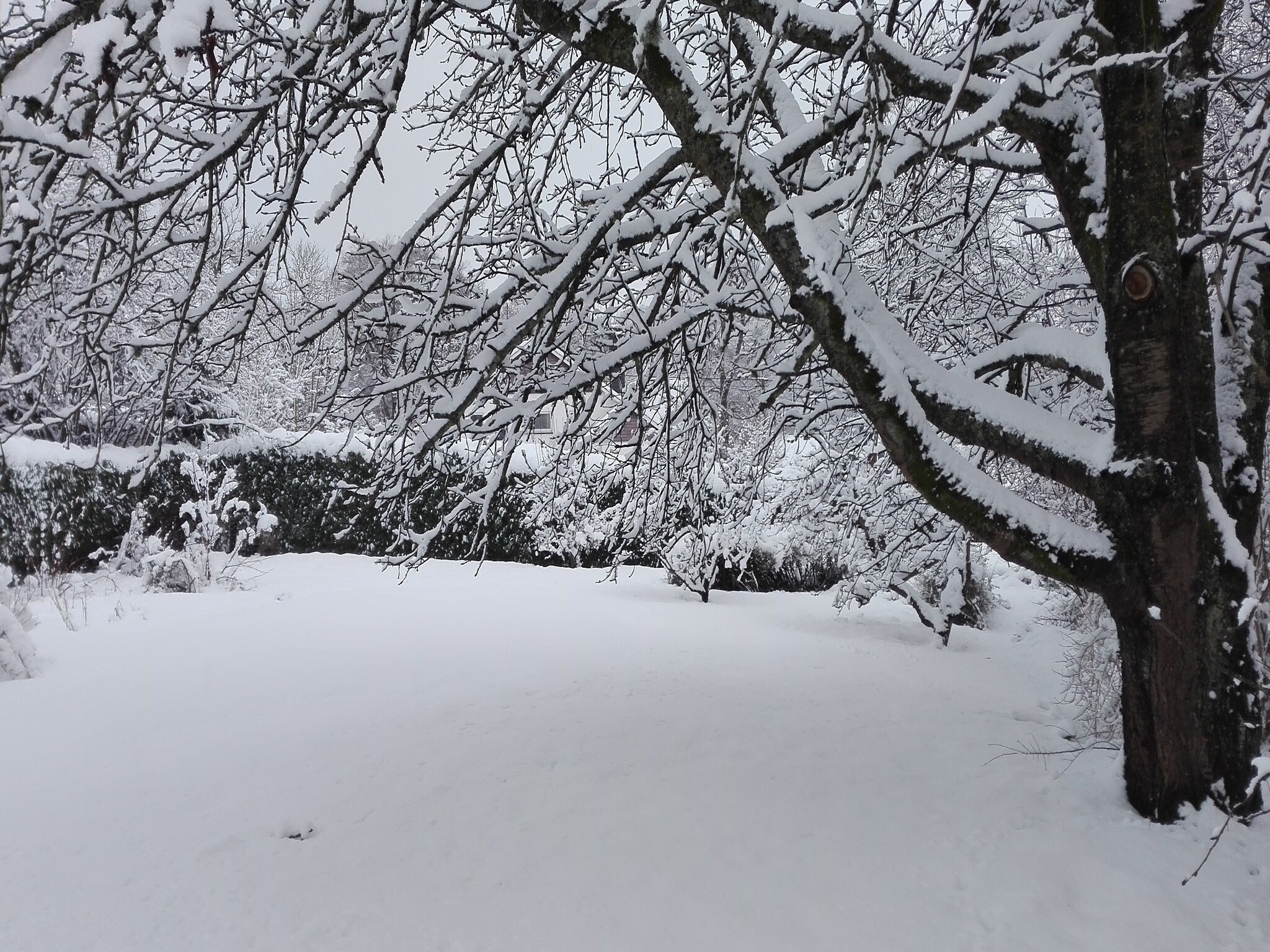 Ferienhaus Le Baroudeur
