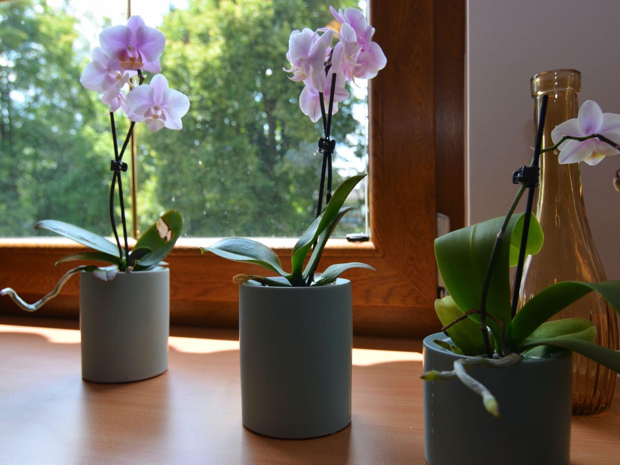 Ferienwohnung Eslarn