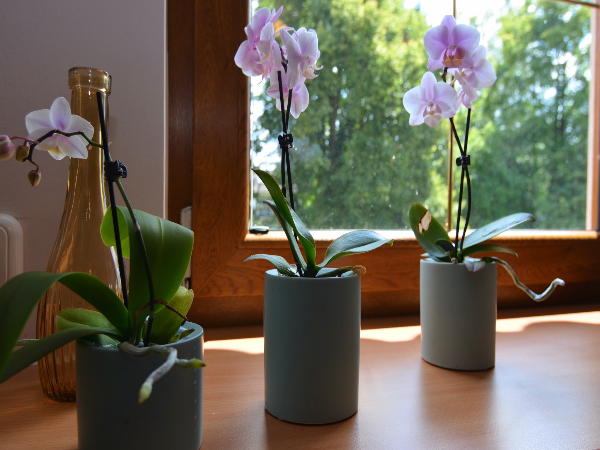 Ferienwohnung Eslarn