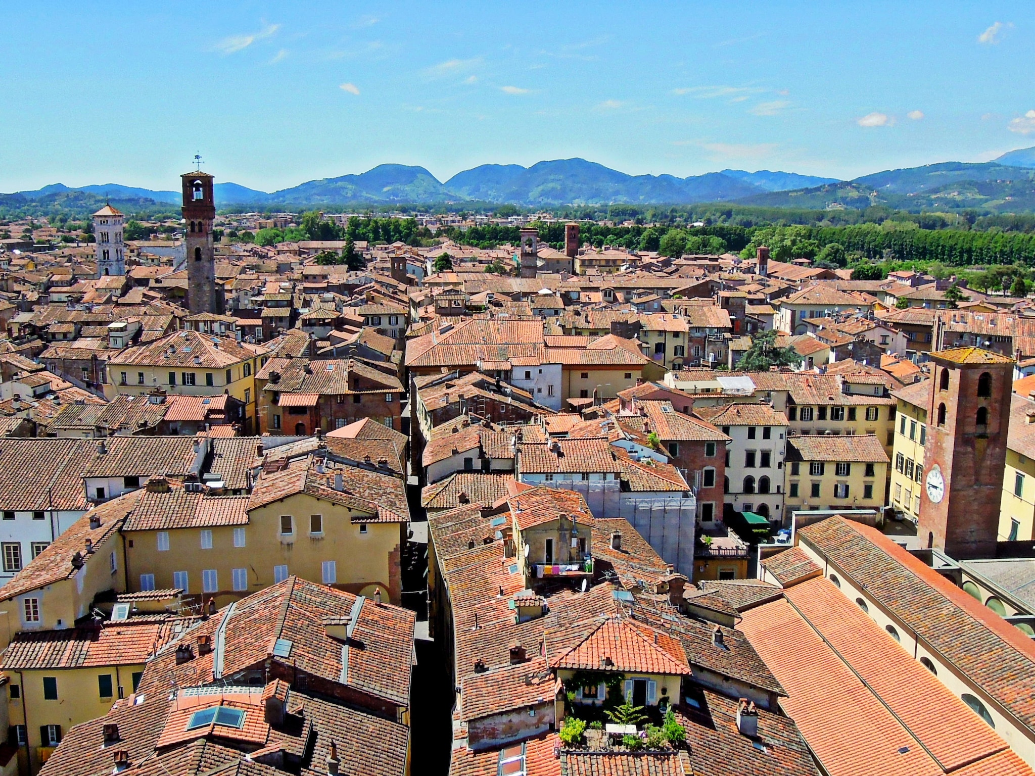   Montefiore