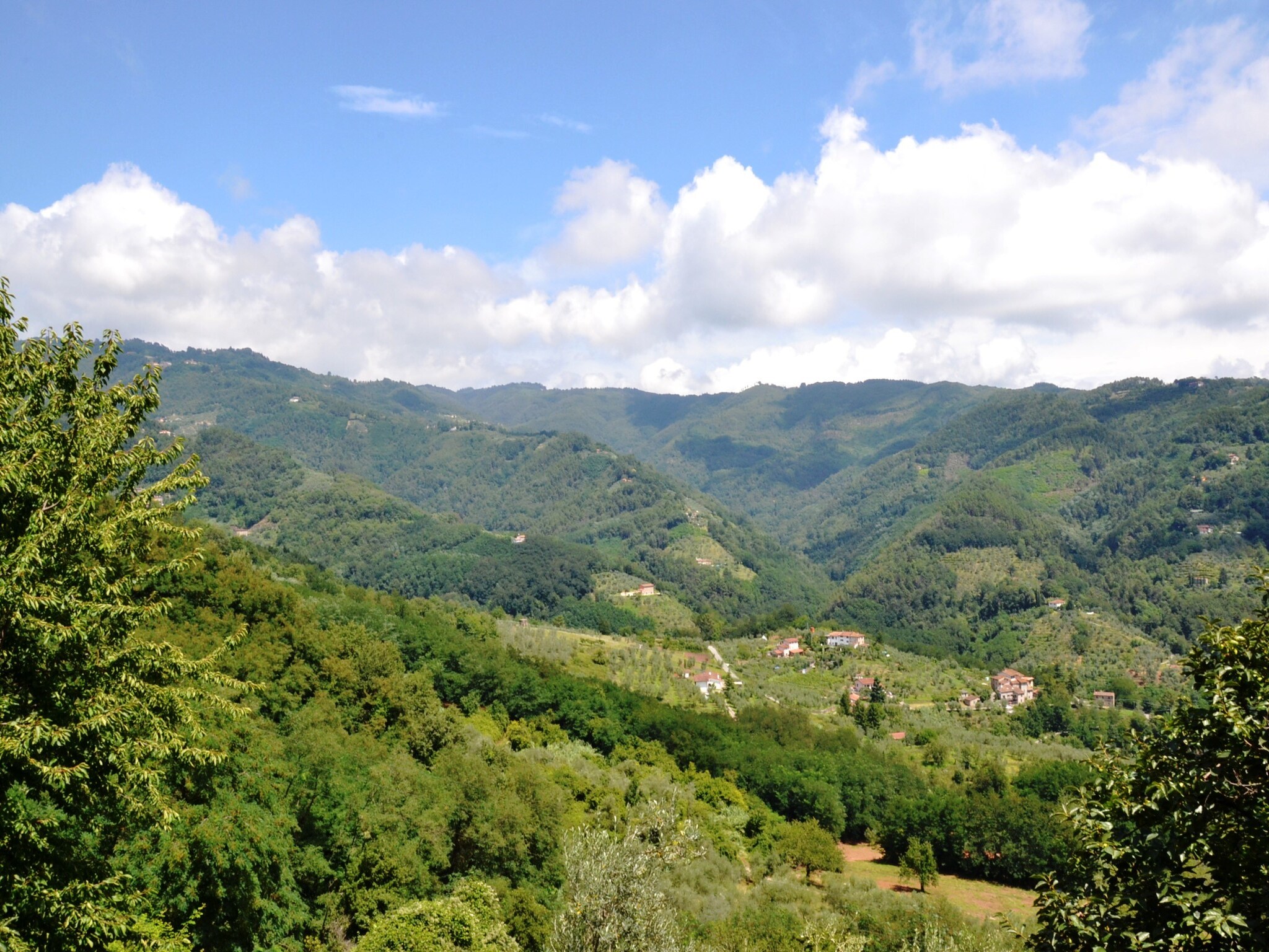   Montefiore