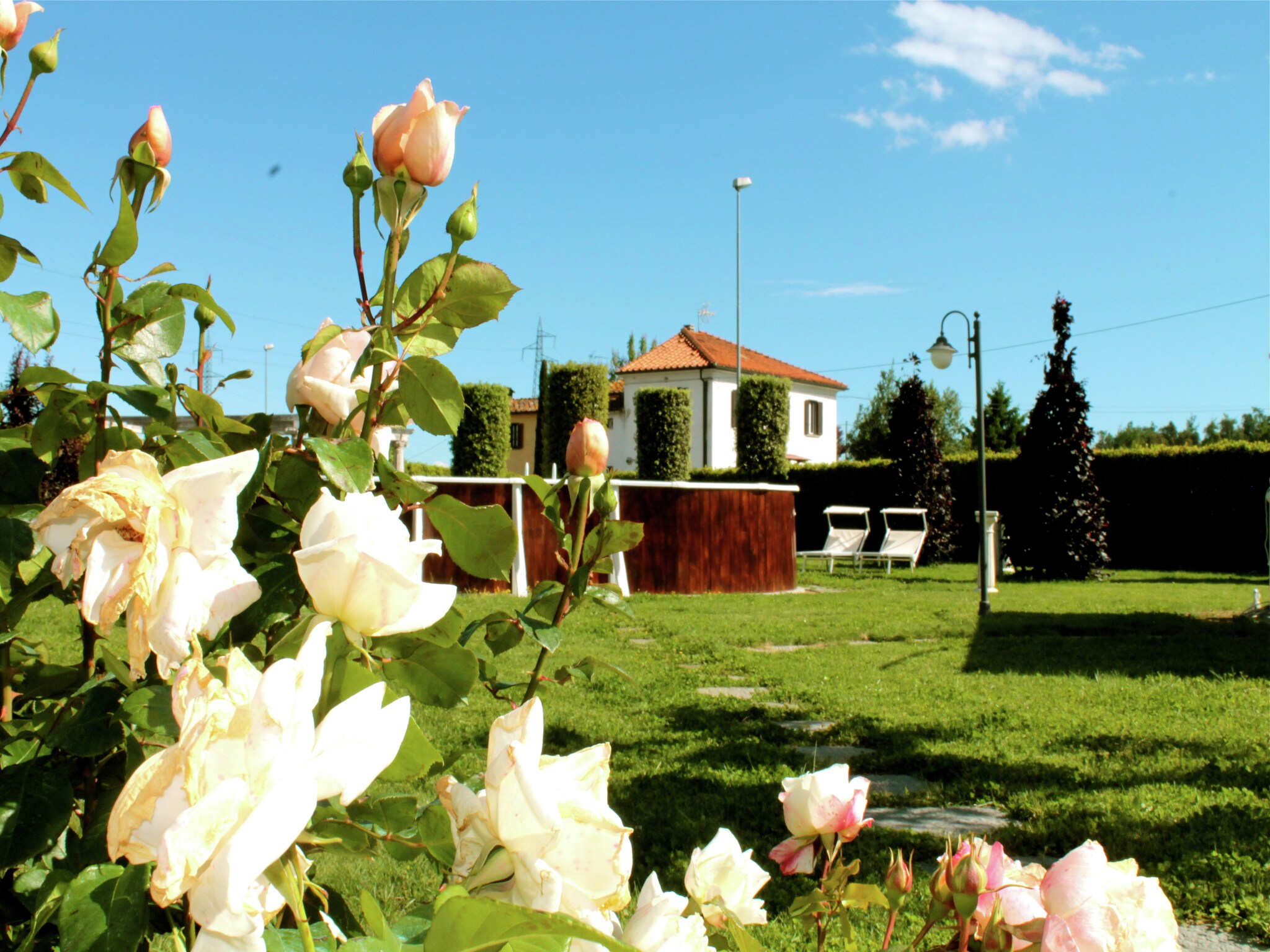   Montefiore