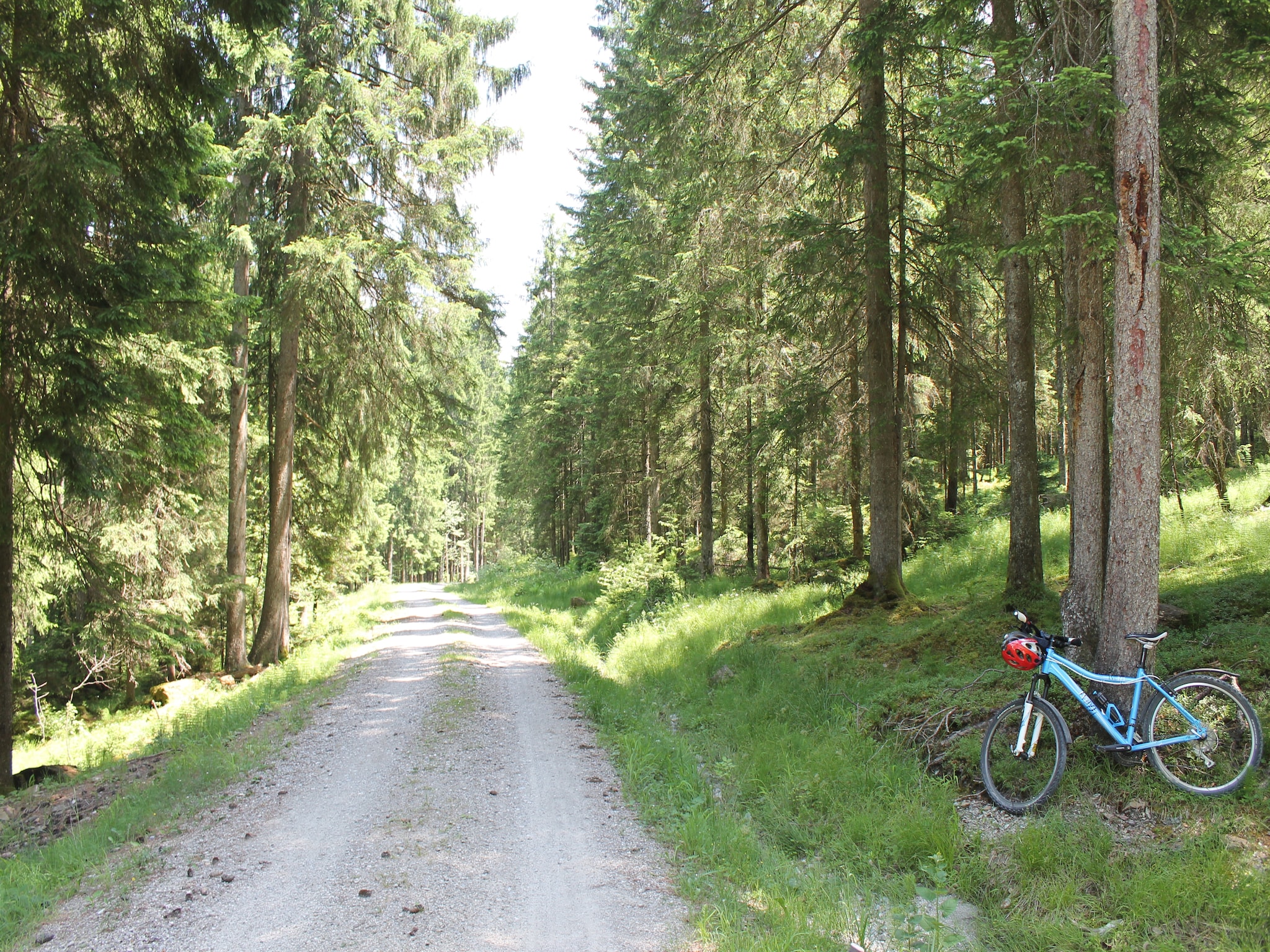Ferienwohnung Trauchgau