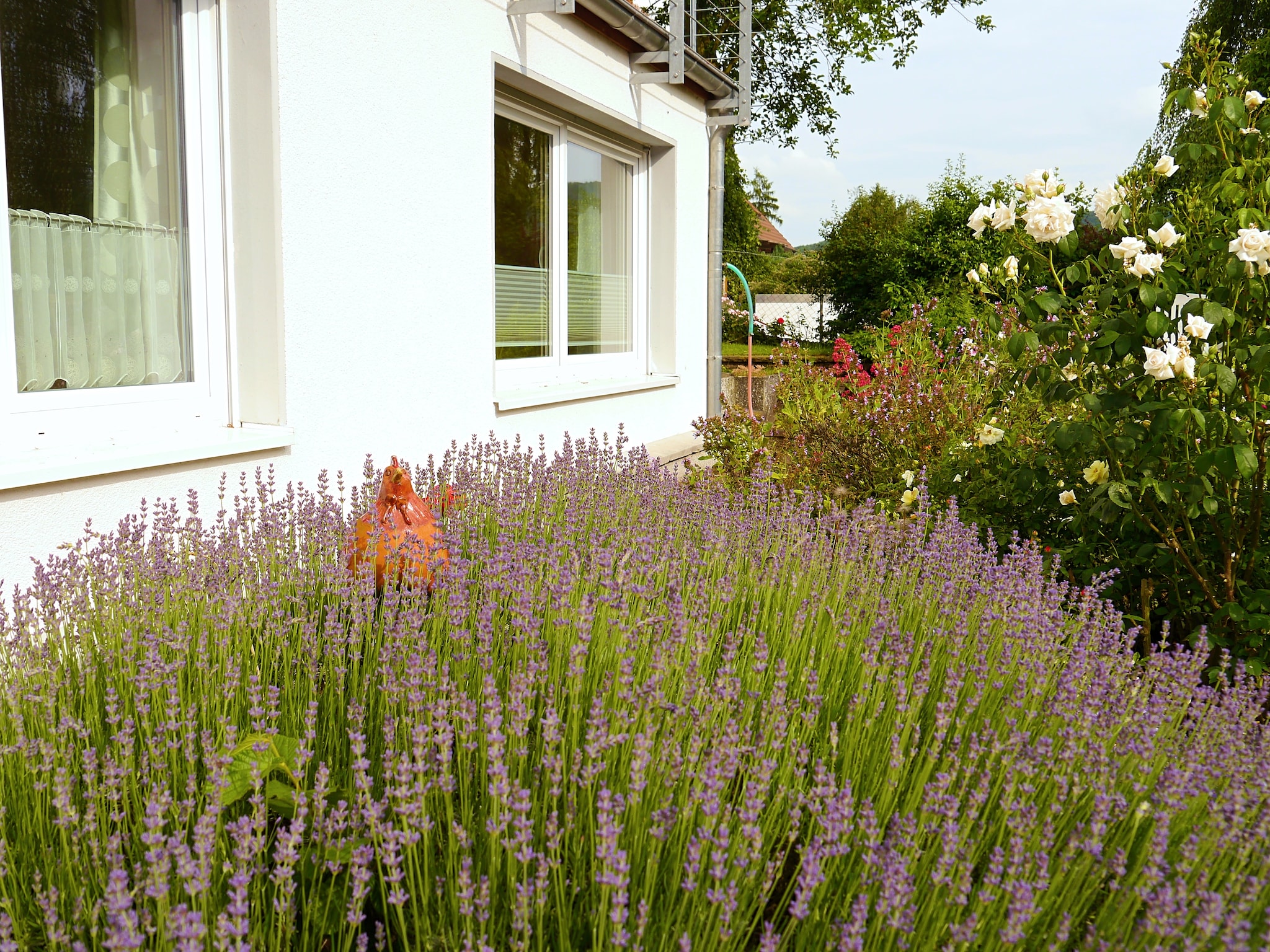 Ferienwohnung Weserbergland