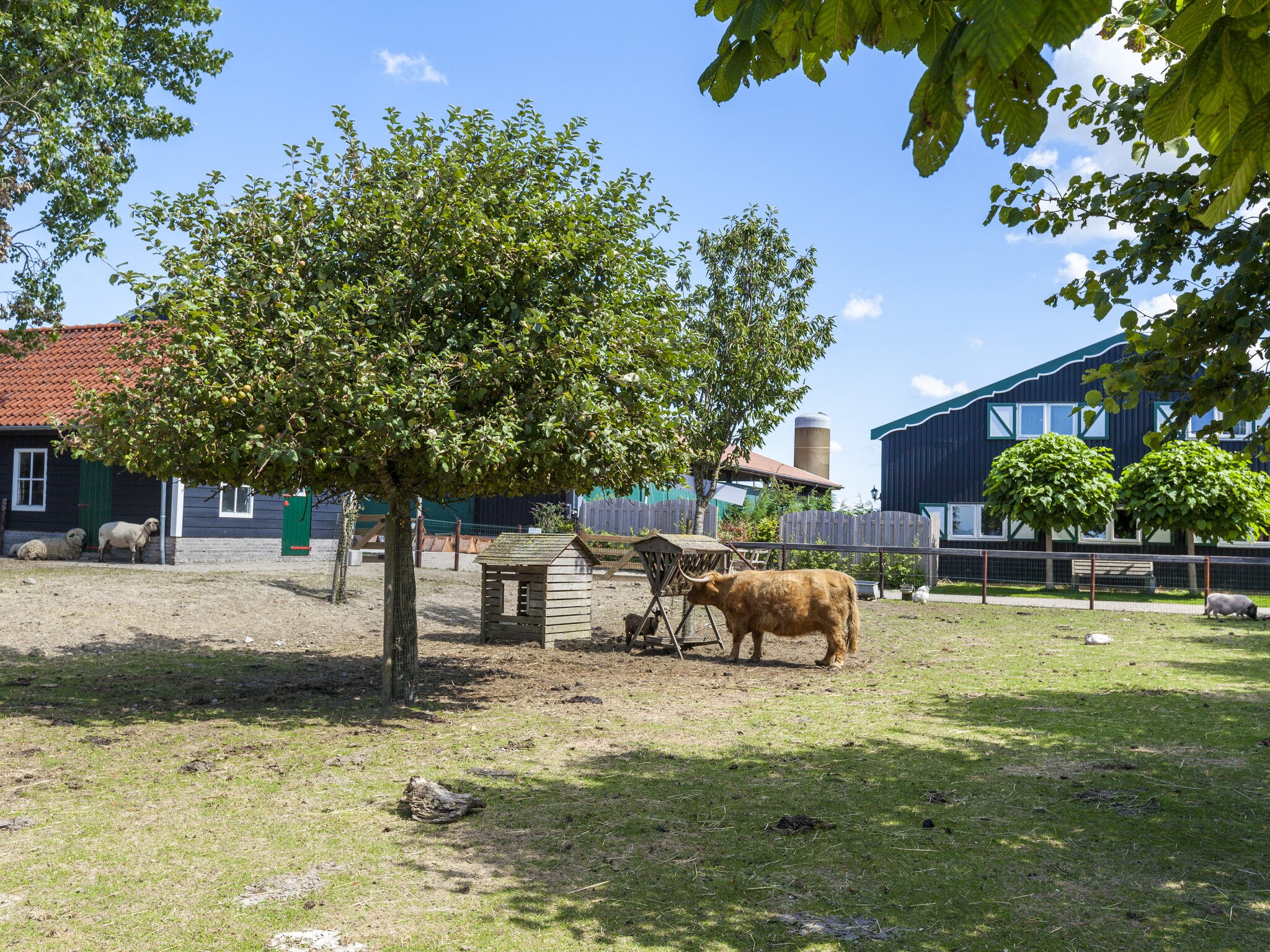   Zeeuwse Schaapskooi