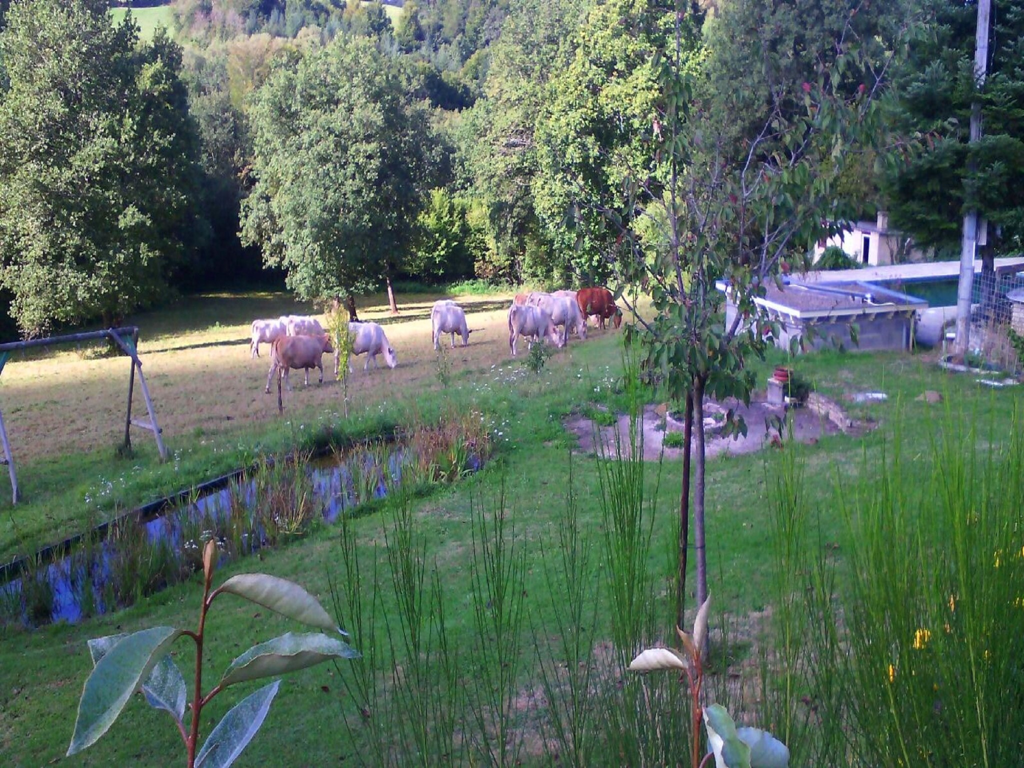   Holiday home Virlet