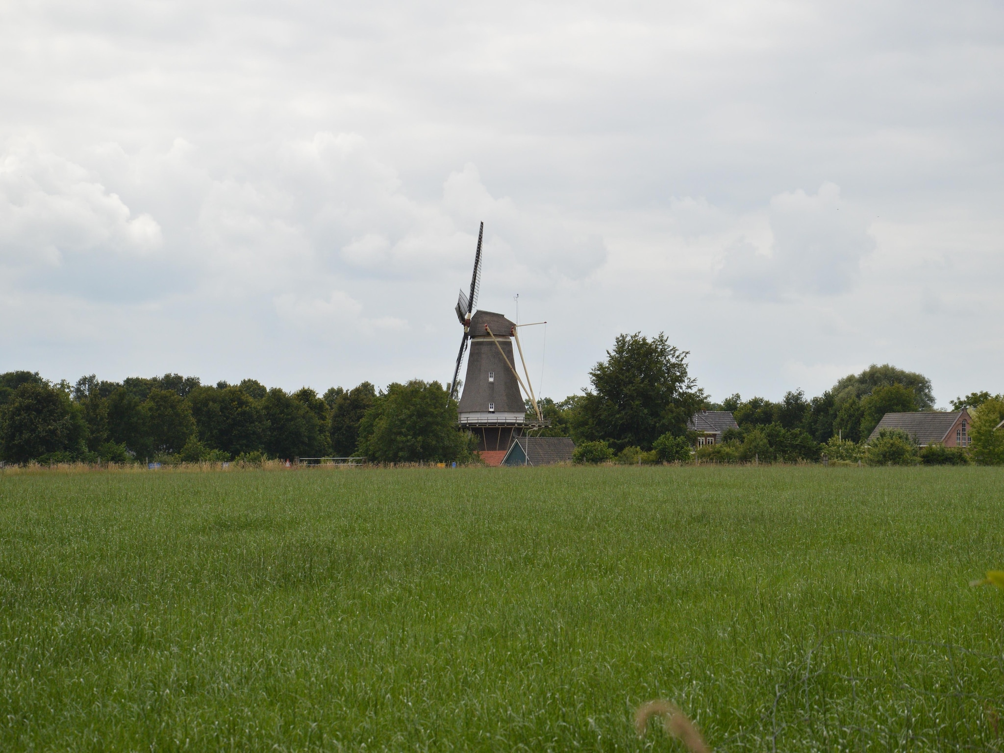   Bakhuus