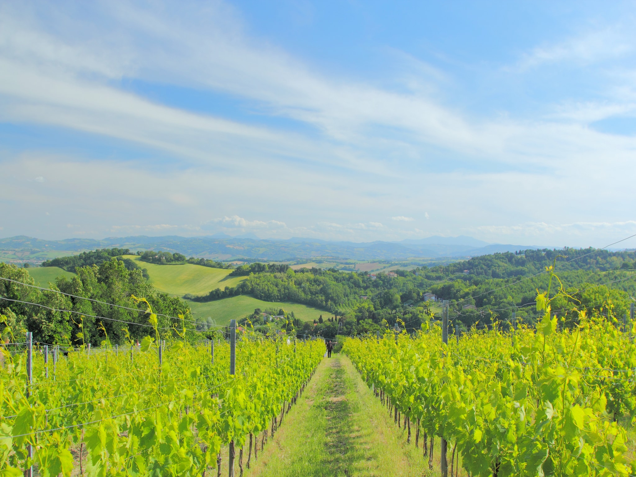 Appartamento Panorama La Foglia