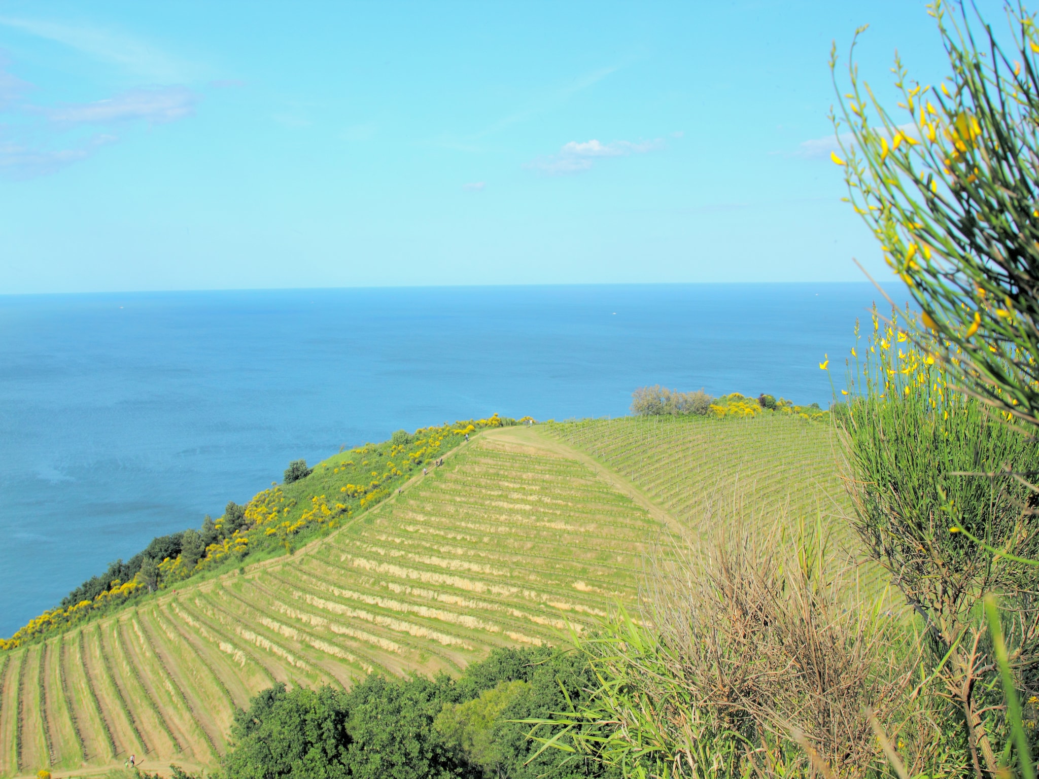 Appartamento Panorama La Foglia