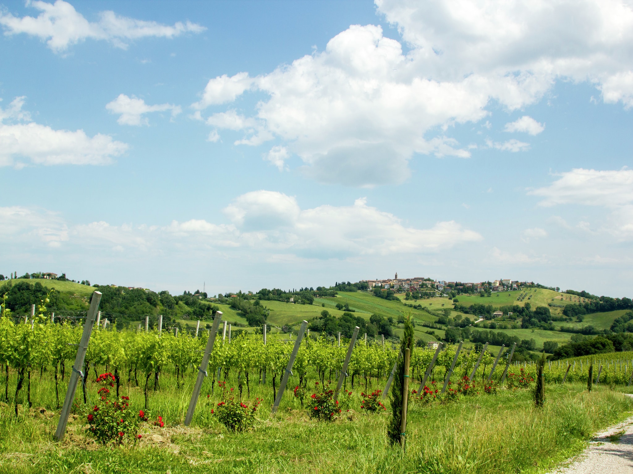 Holiday home Villa Fiorini