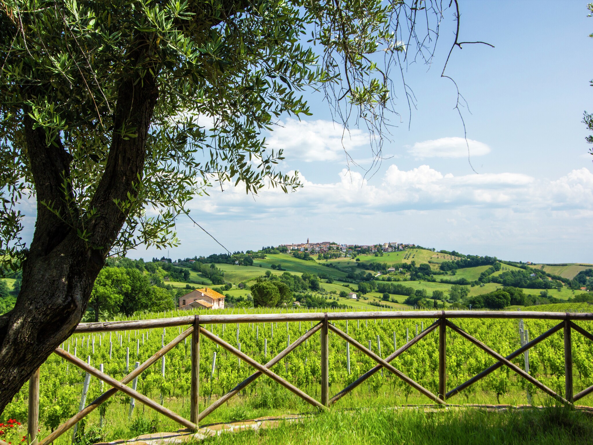 Holiday home Villa Fiorini