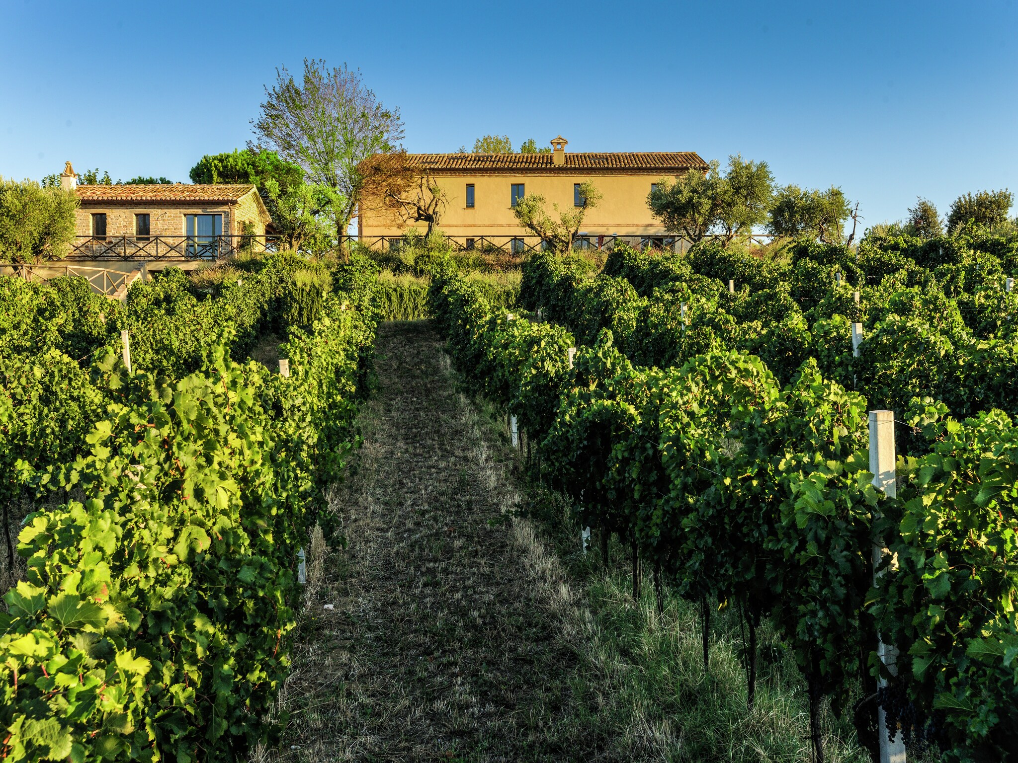 Holiday home Villa Fiorini