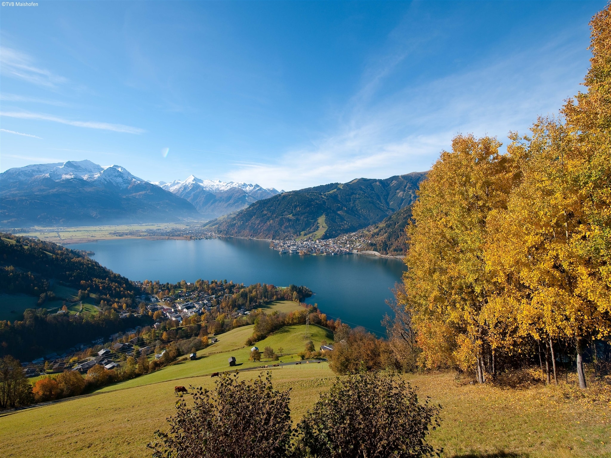 Ferienwohnung Sinnlehen Sommer