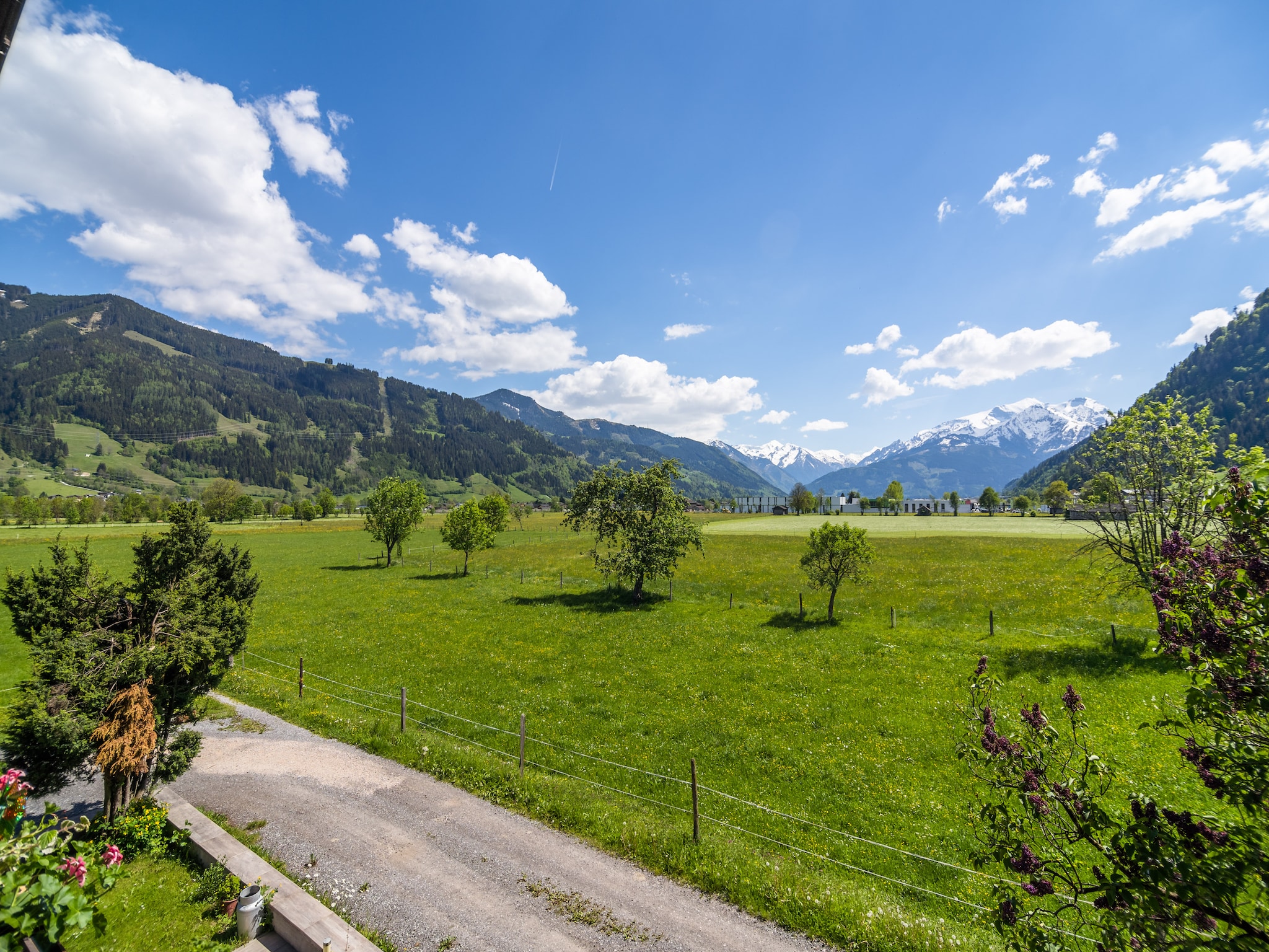Ferienwohnung Sinnlehen Sommer