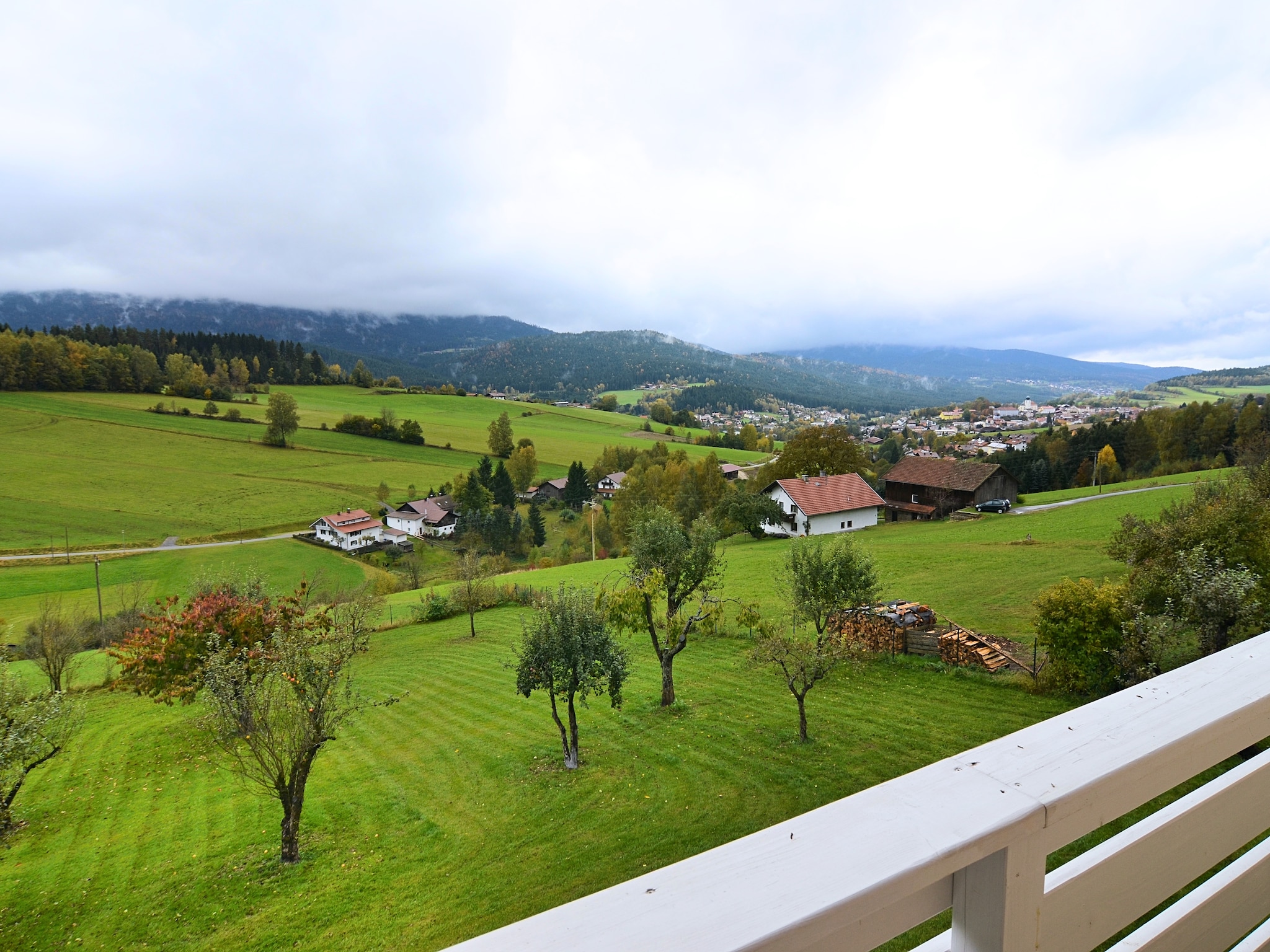   Bayerischer Wald