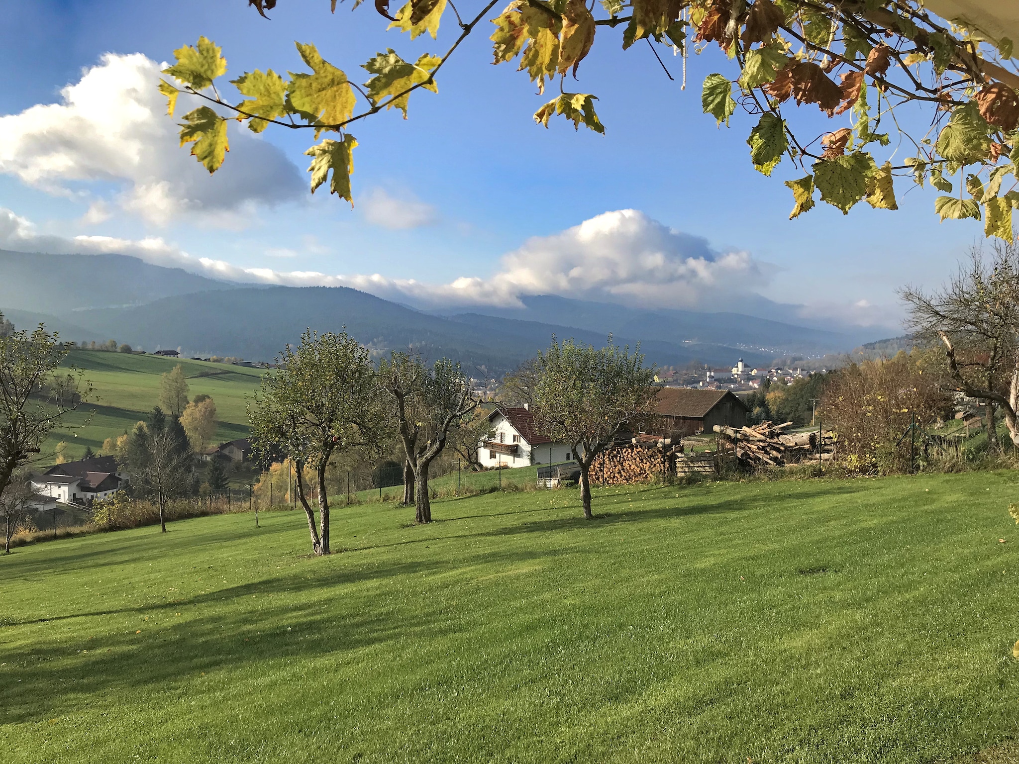   Bayerischer Wald