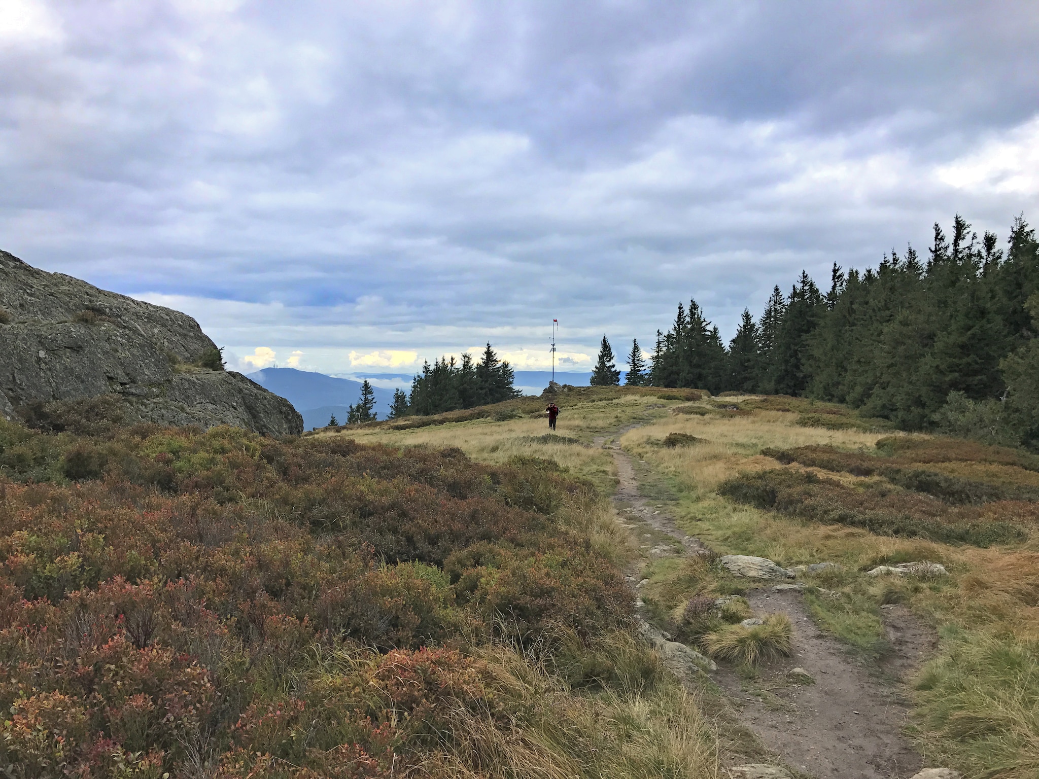   Bayerischer Wald