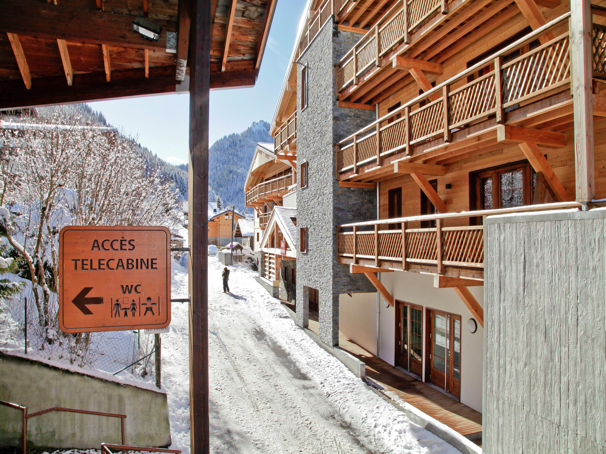 Apartment Les Fermes de Chatel 2