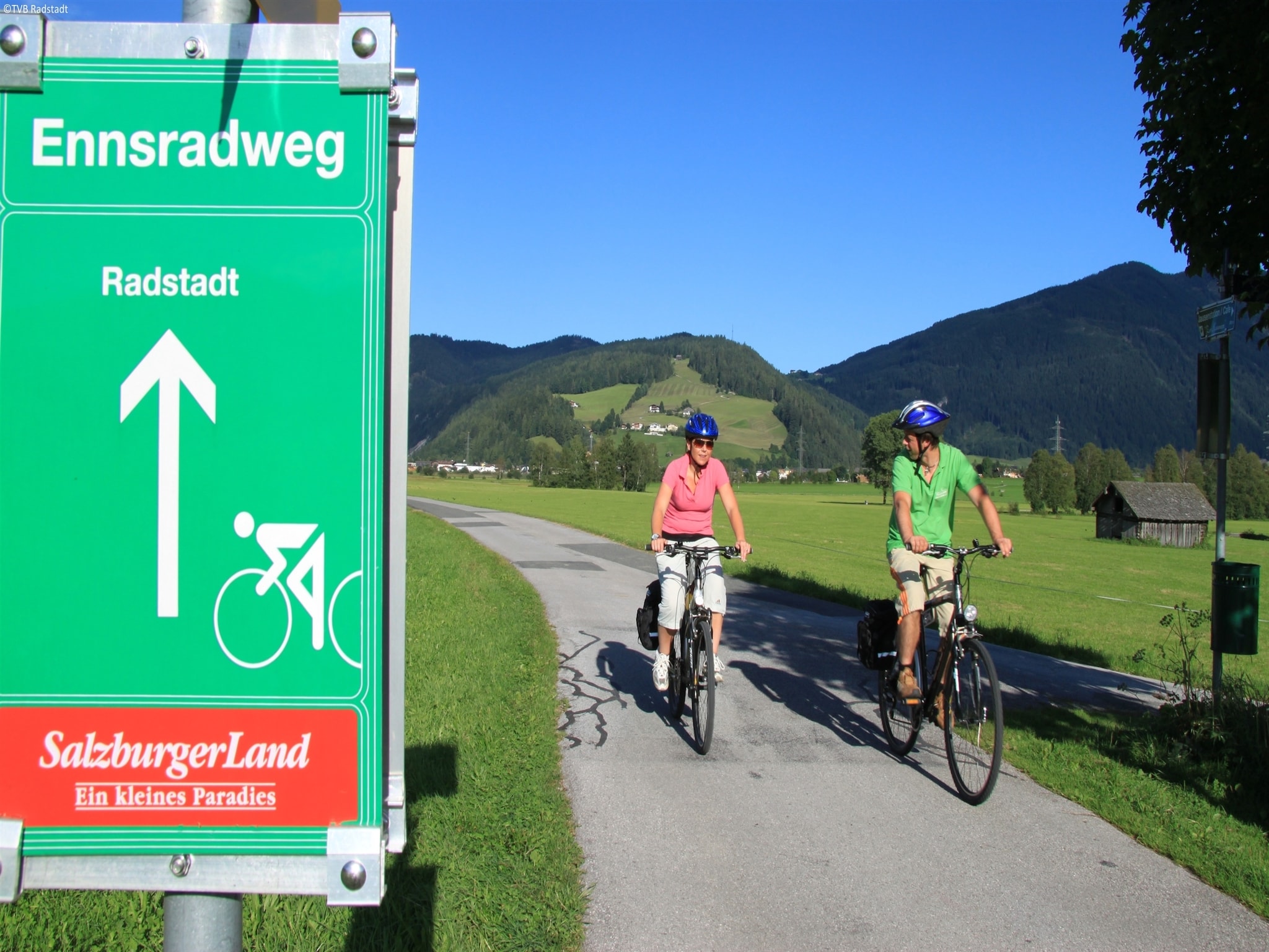 Ferienwohnung Appartement Geisstein
