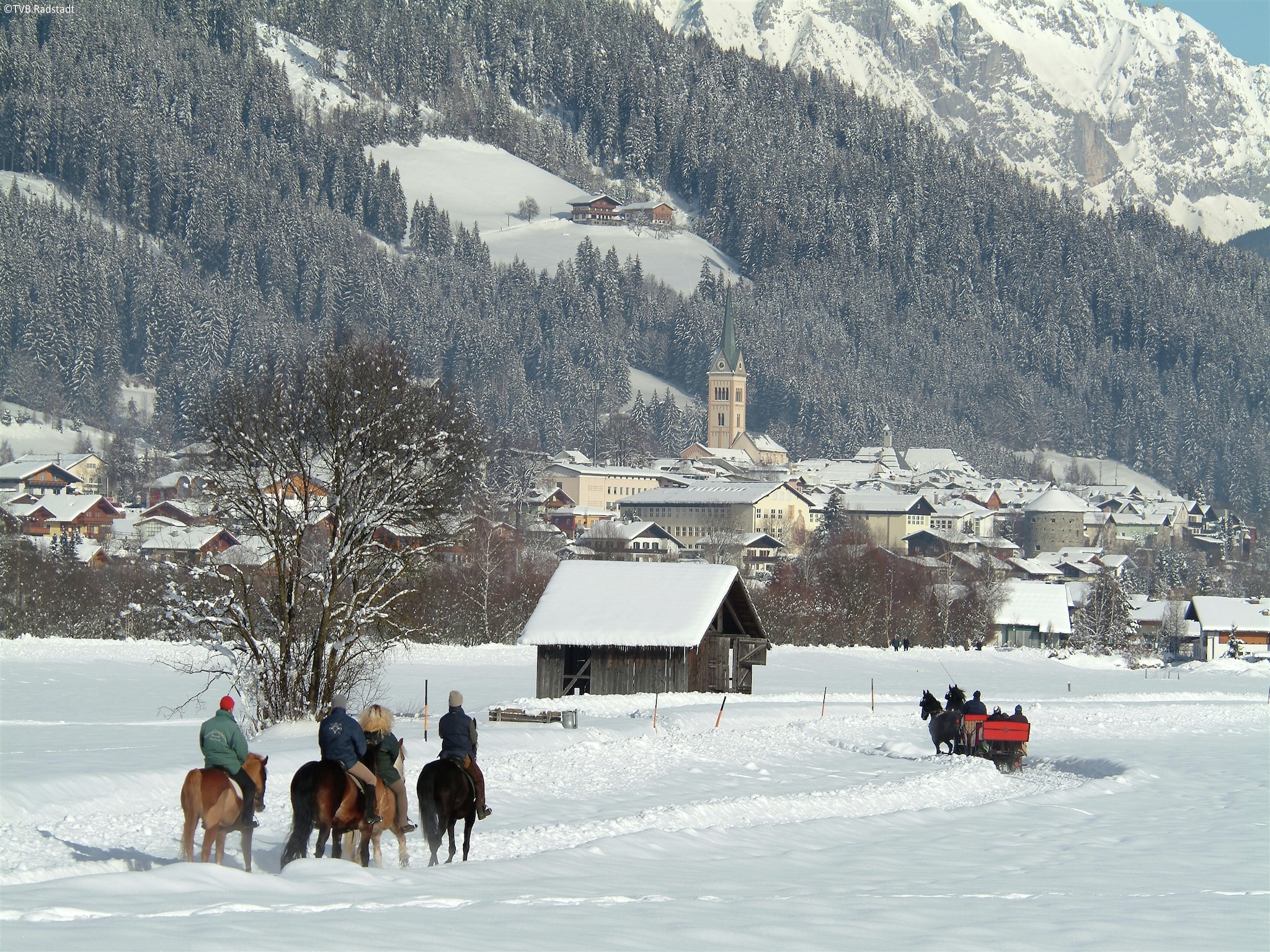 Ferienwohnung Appartement Geisstein