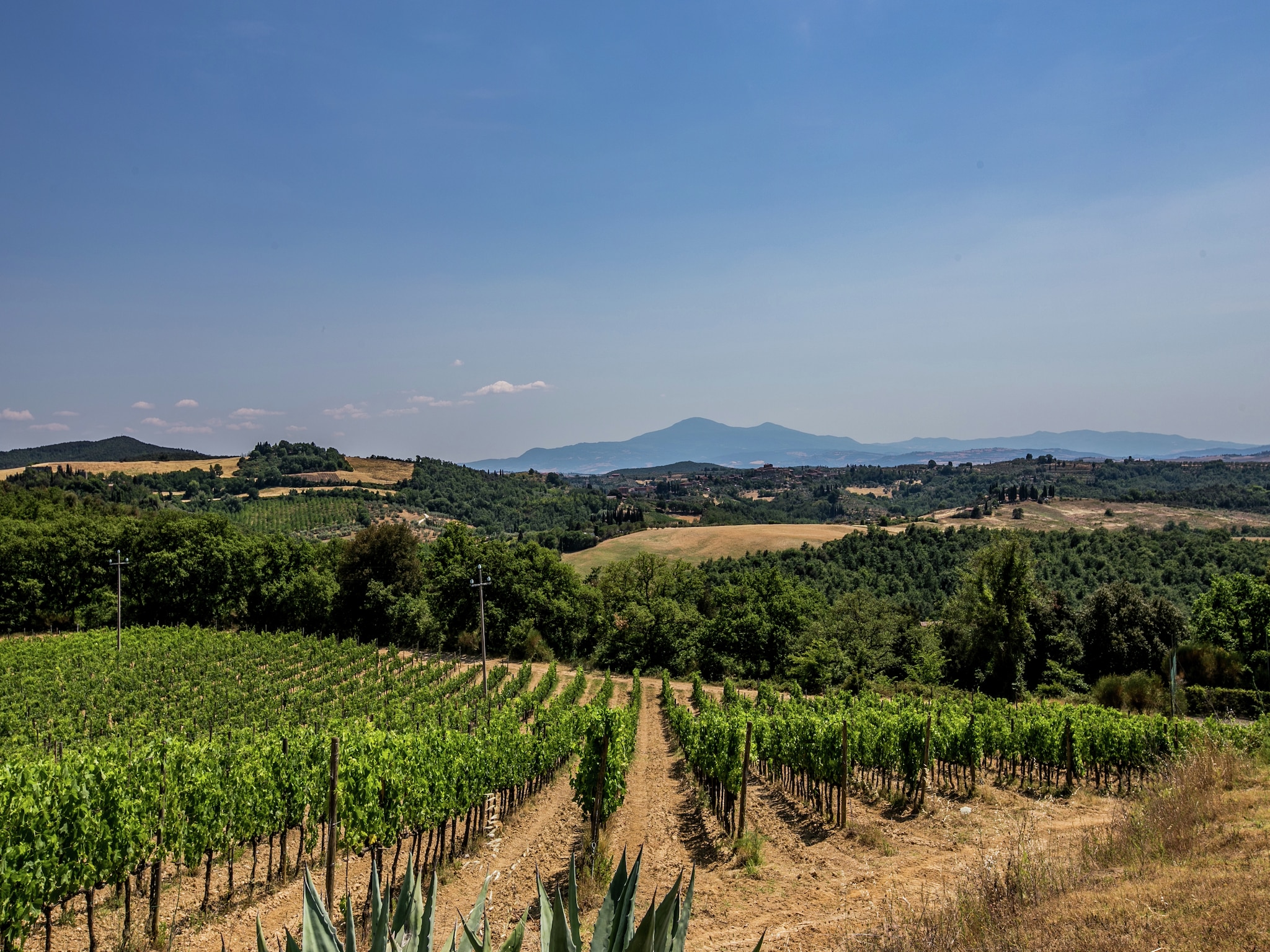 Feriebolig Villa Sangiovese