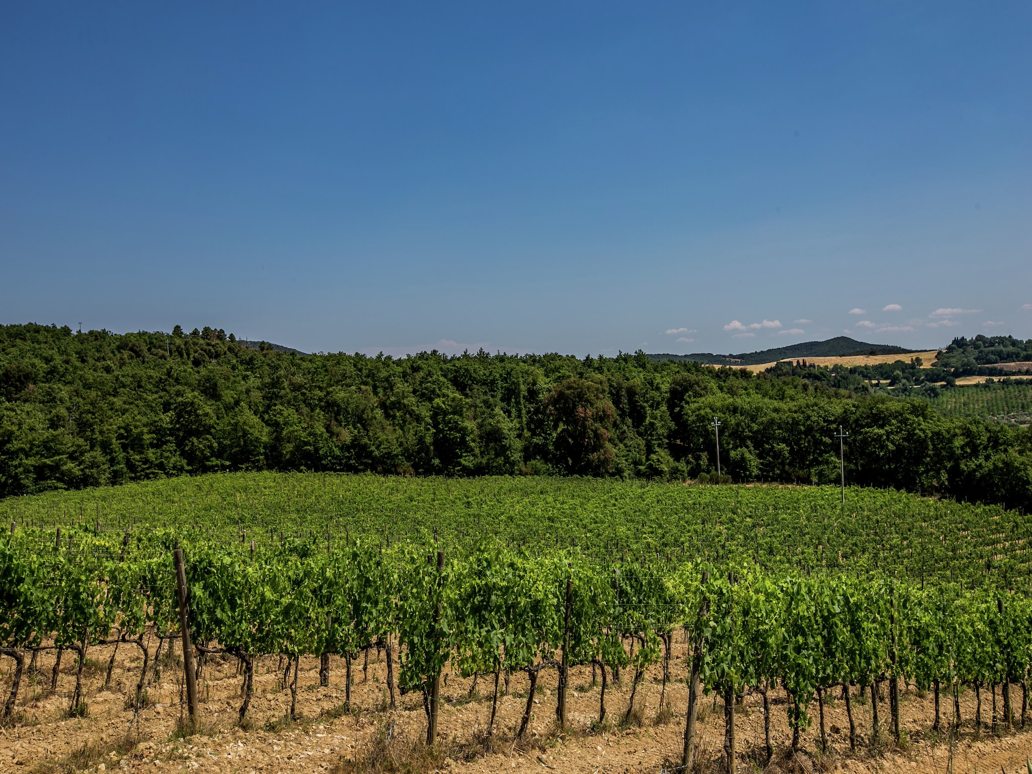 Feriebolig Villa Sangiovese