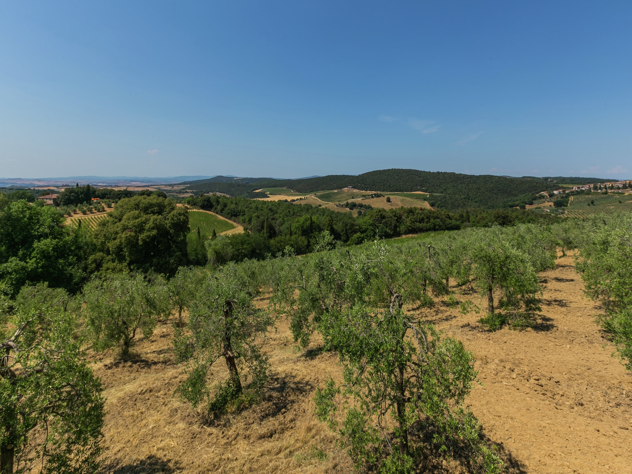 Feriebolig Villa Sangiovese