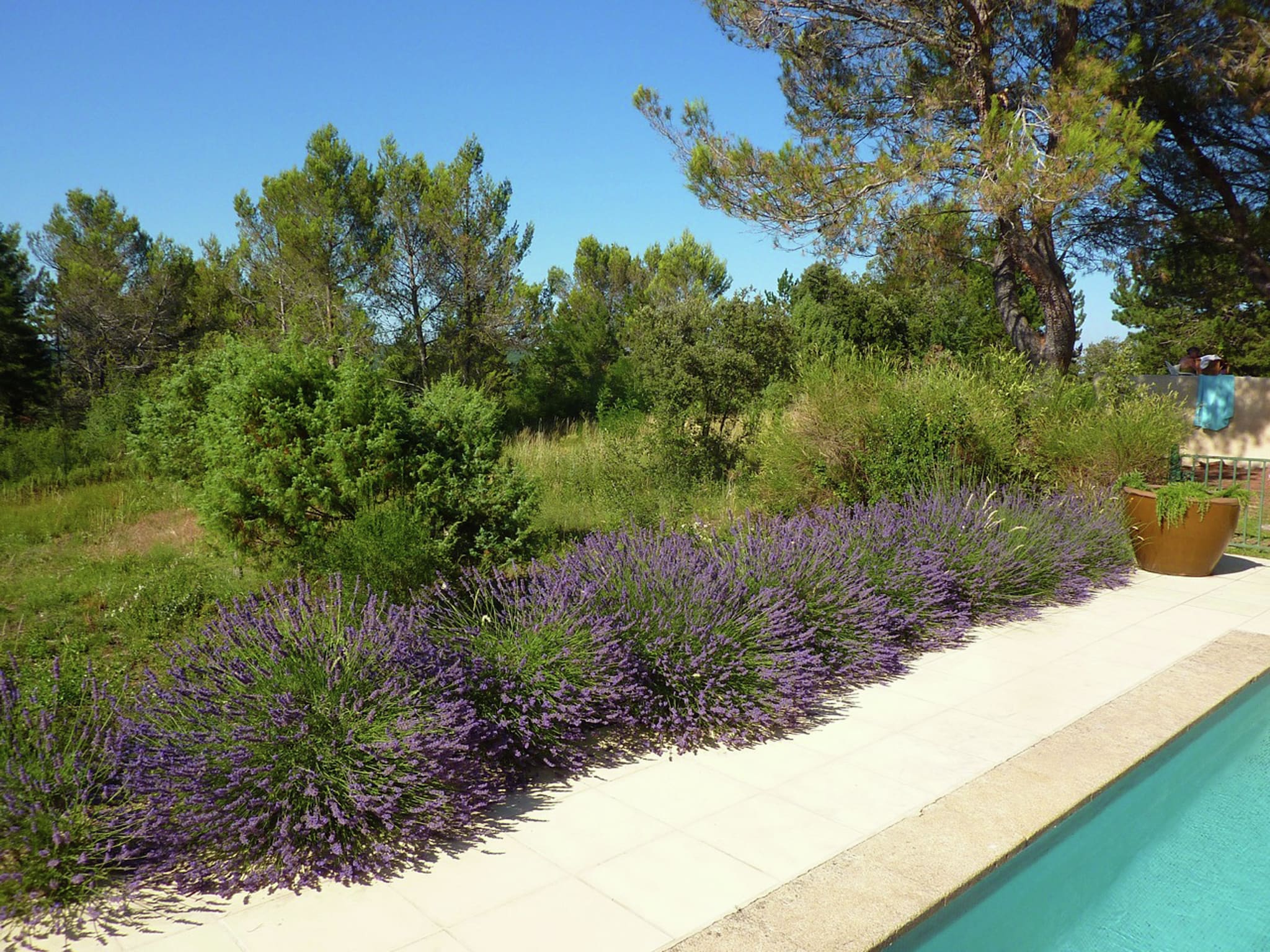 Vacation home Grande Villa Vue Panoramique