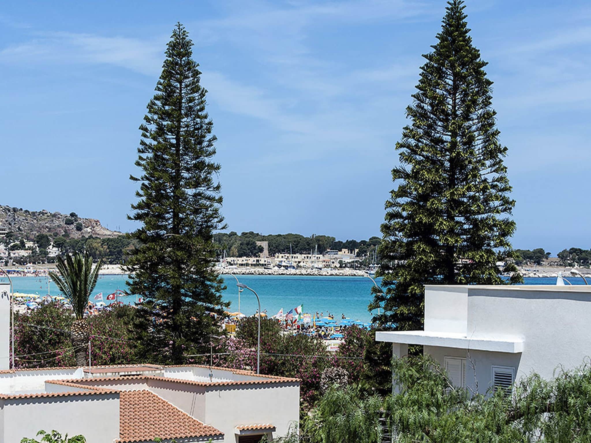   Spuma di Mare - Riccio