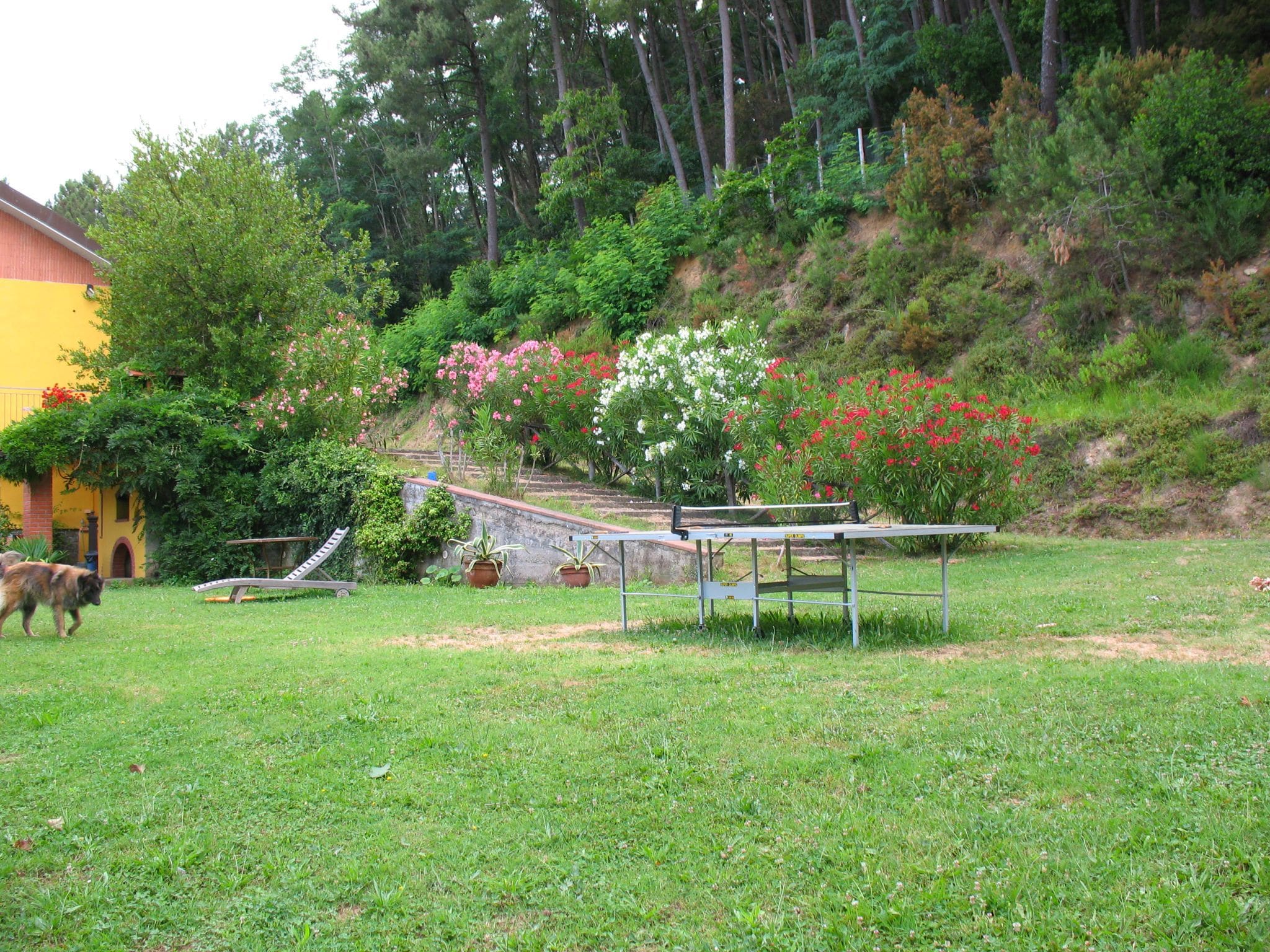   Nelverde