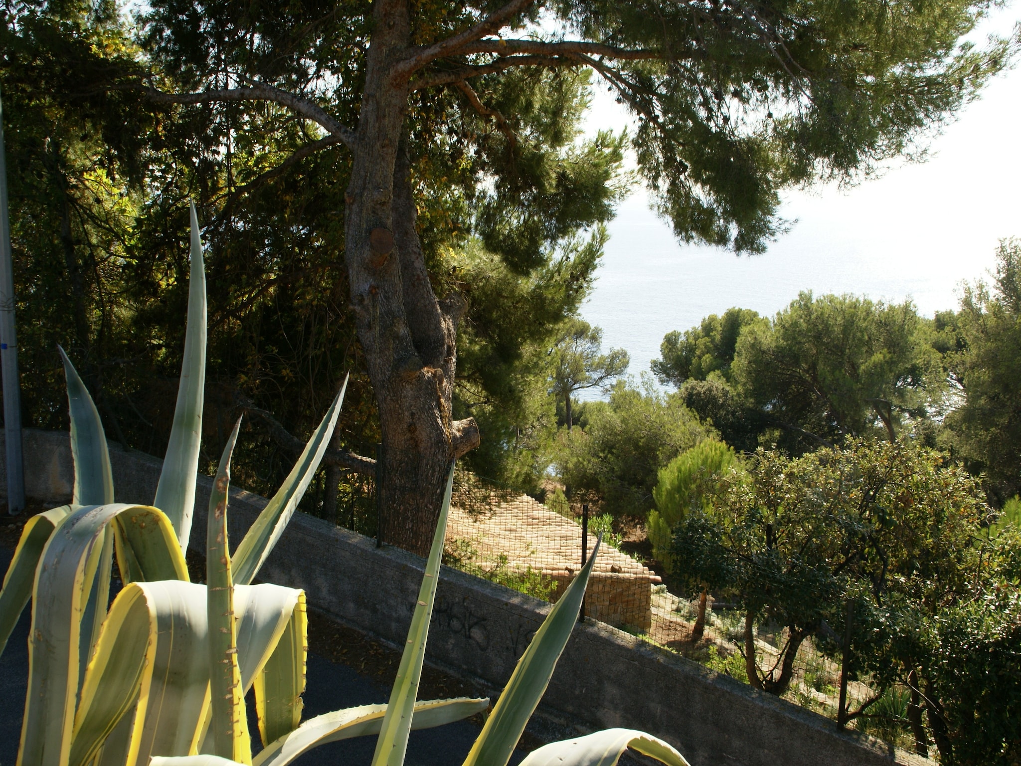   Villa Carqueiranne
