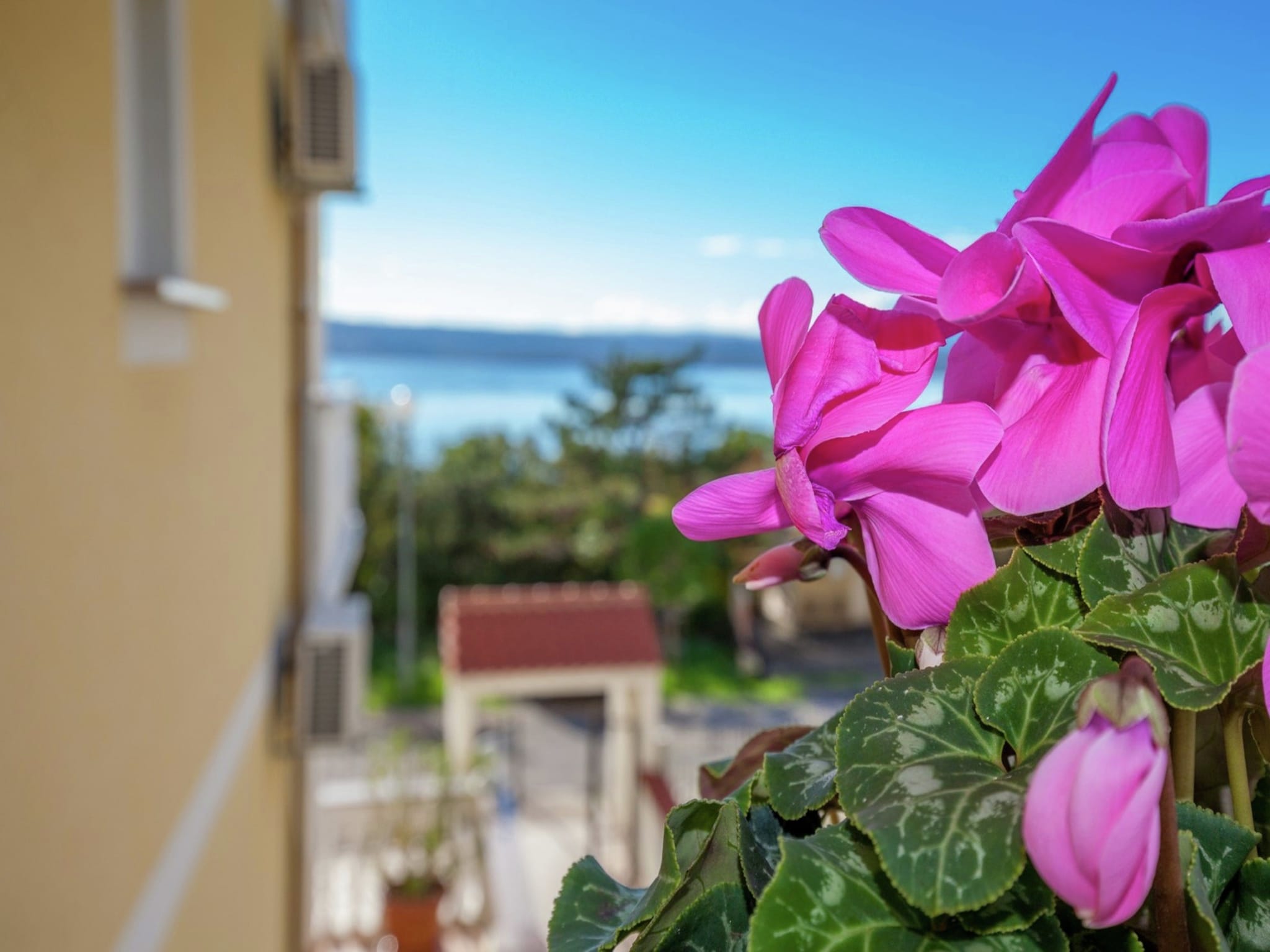 Appartement Viila Oleandar 12