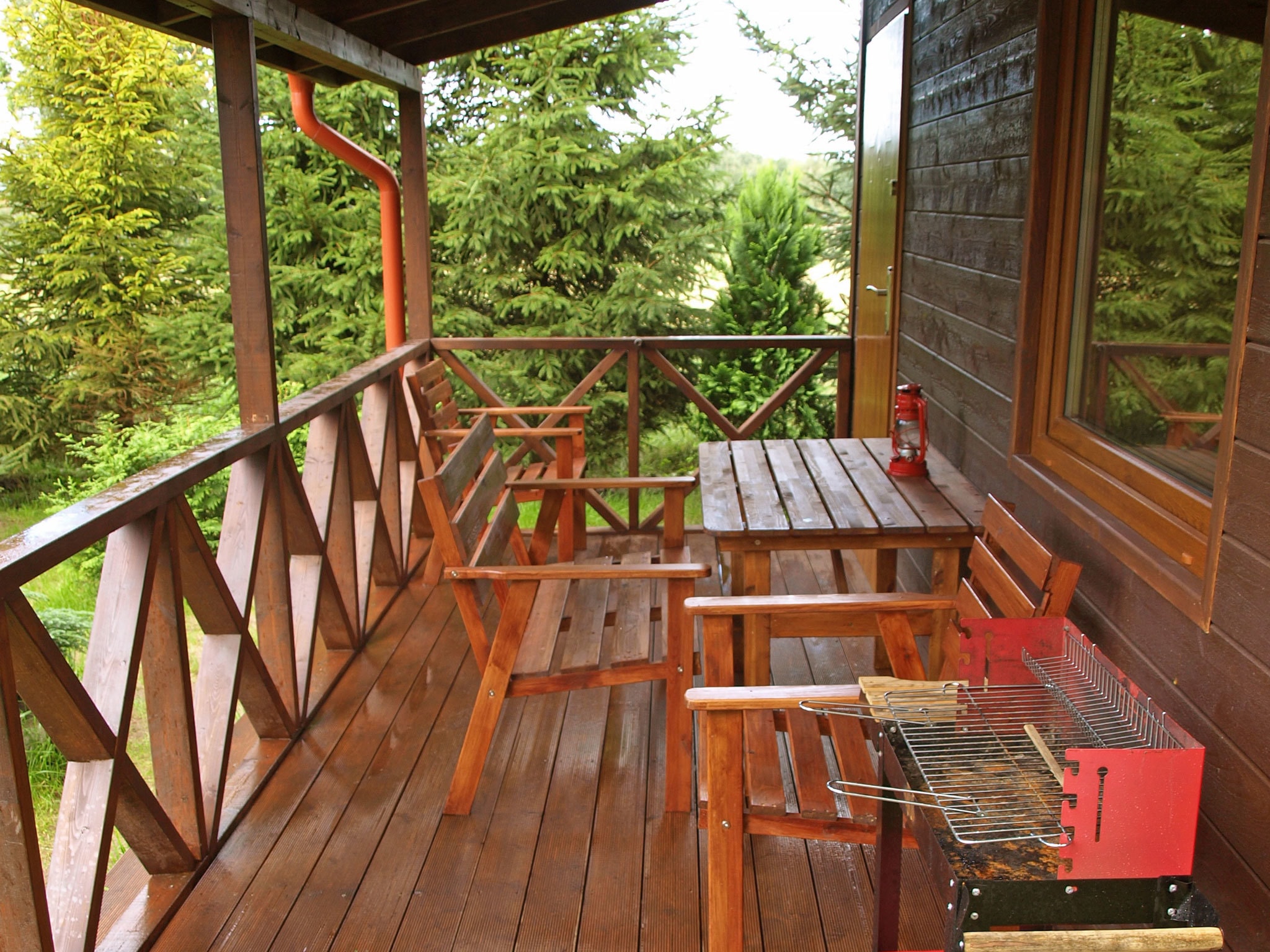   House among beautiful forests