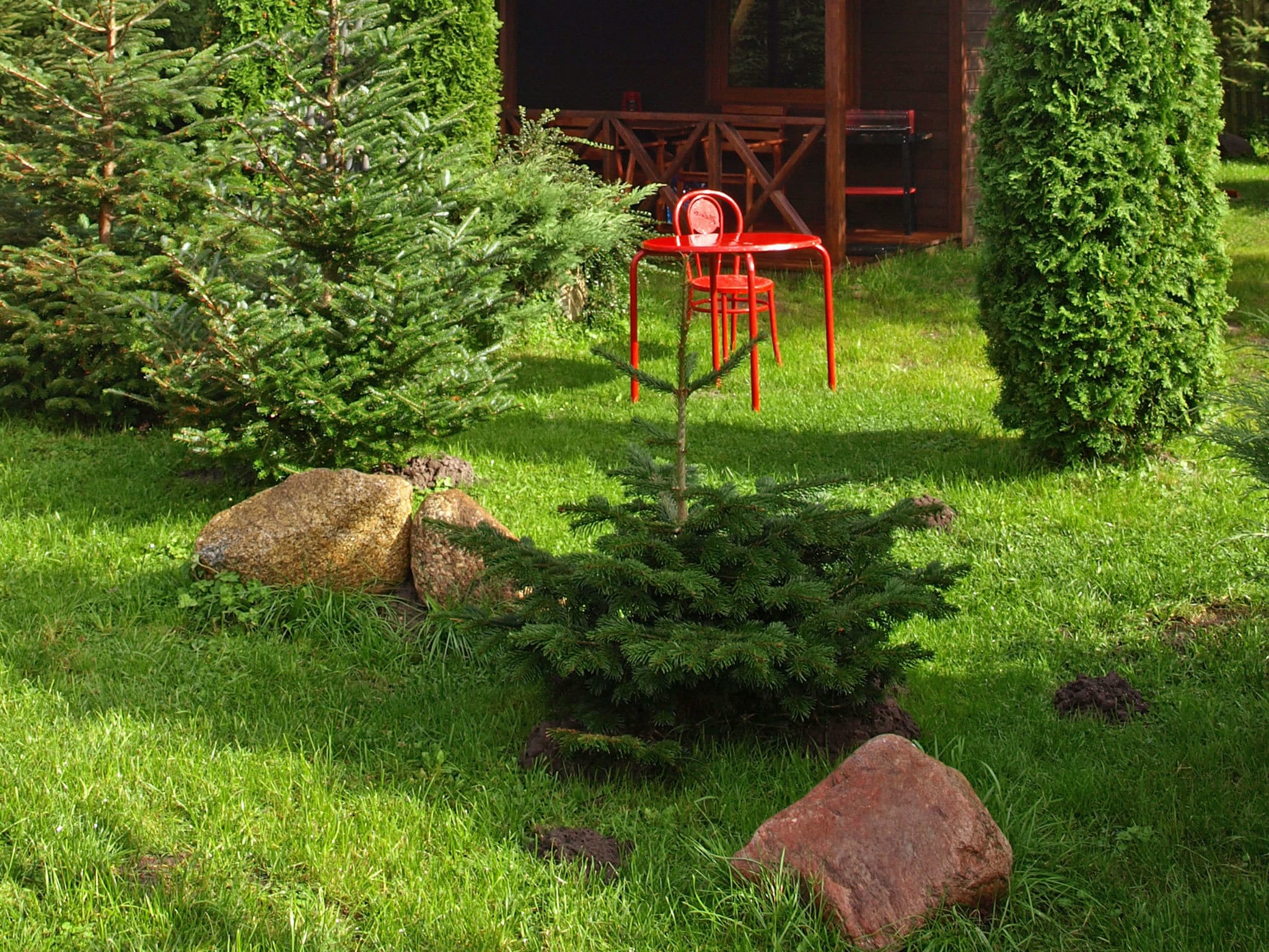   House among beautiful forests