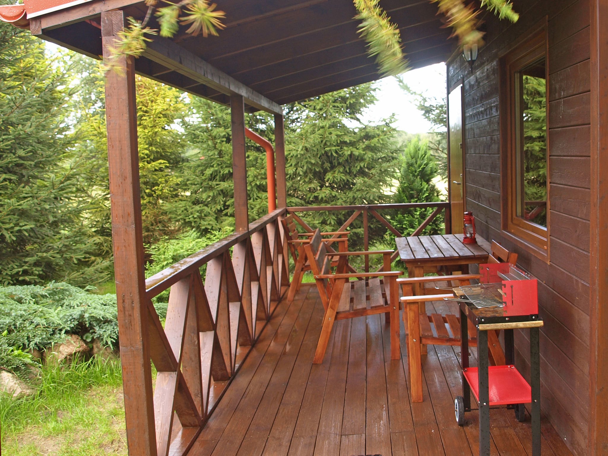   House among beautiful forests