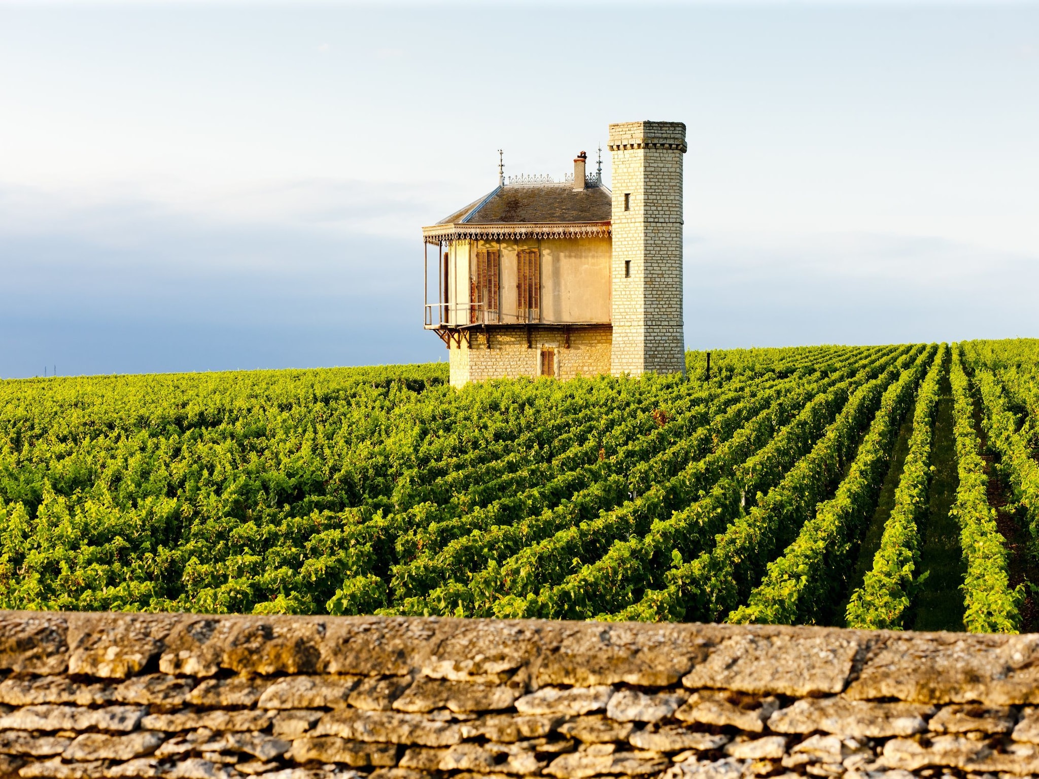   maison Joie de Vivre